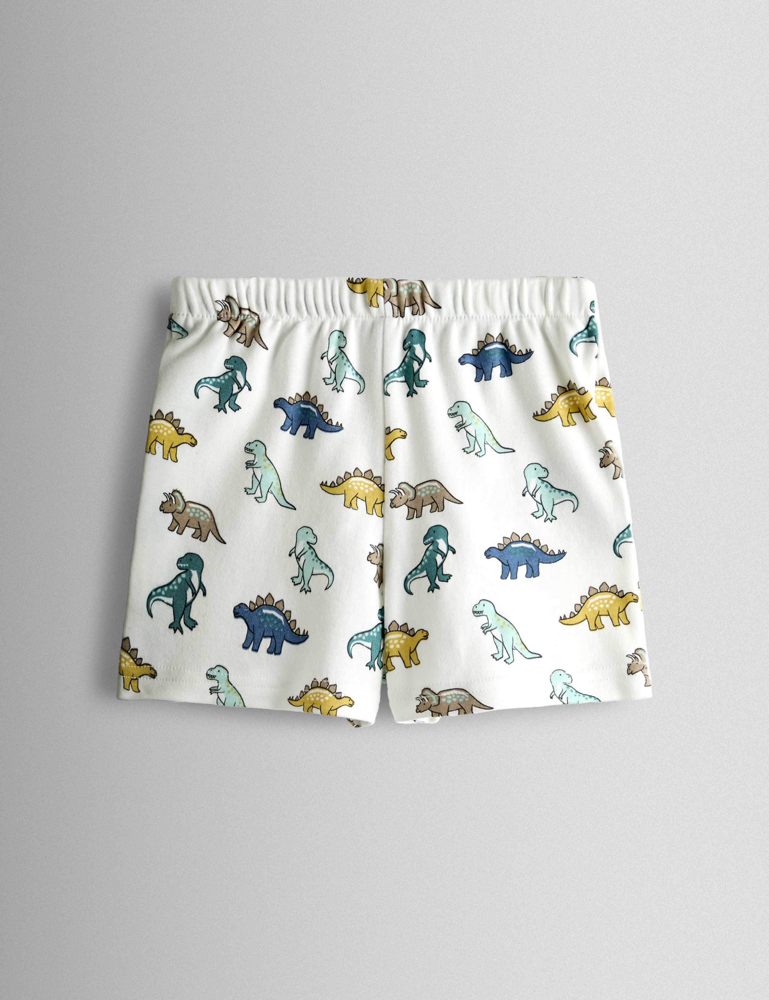 2 Pack Pure Cotton Dinosaur Pyjamas (12 Mths - 6 Yrs) 8 of 10