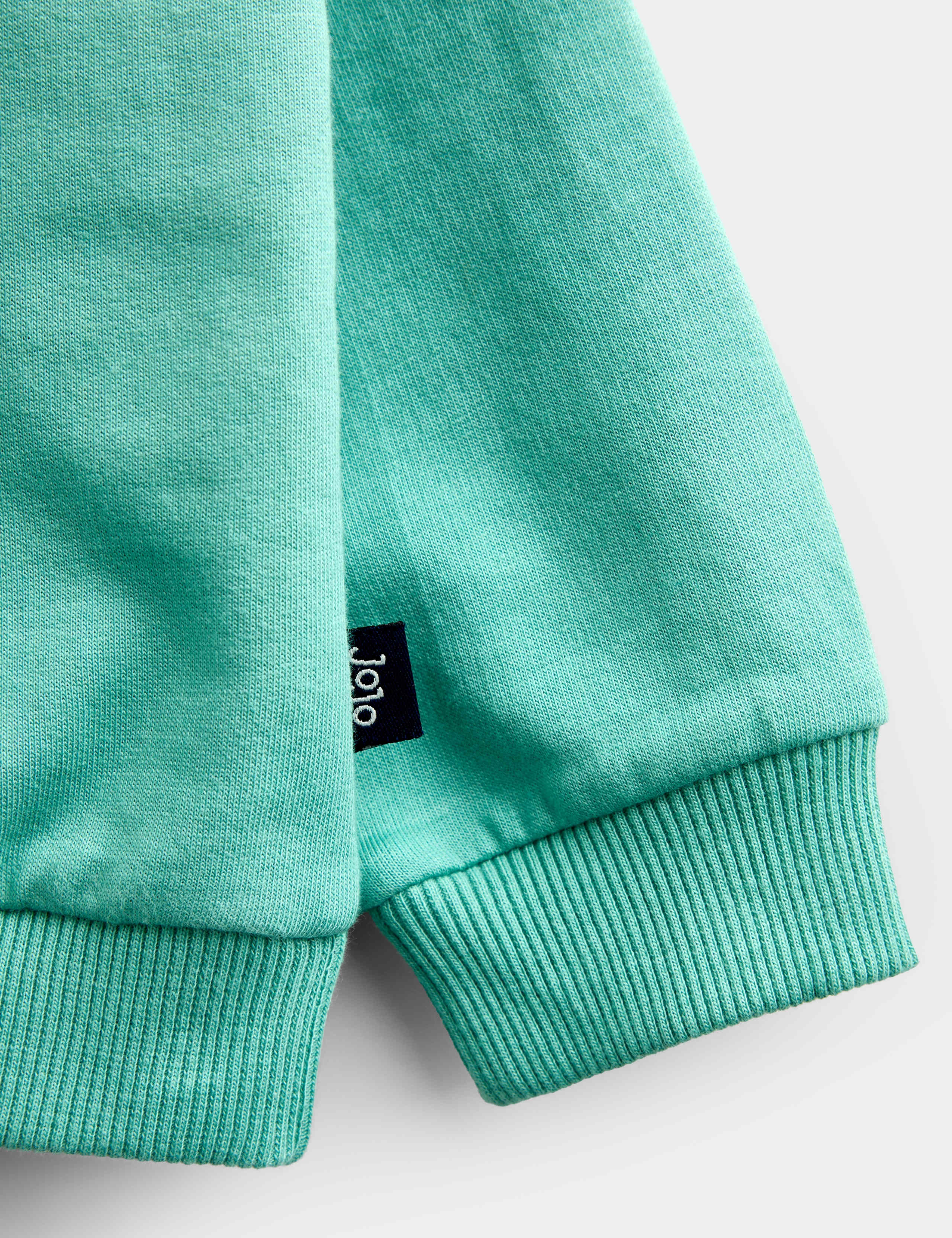 Pure Cotton Pretzel Sweatshirt (1-5 Yrs) 5 of 5