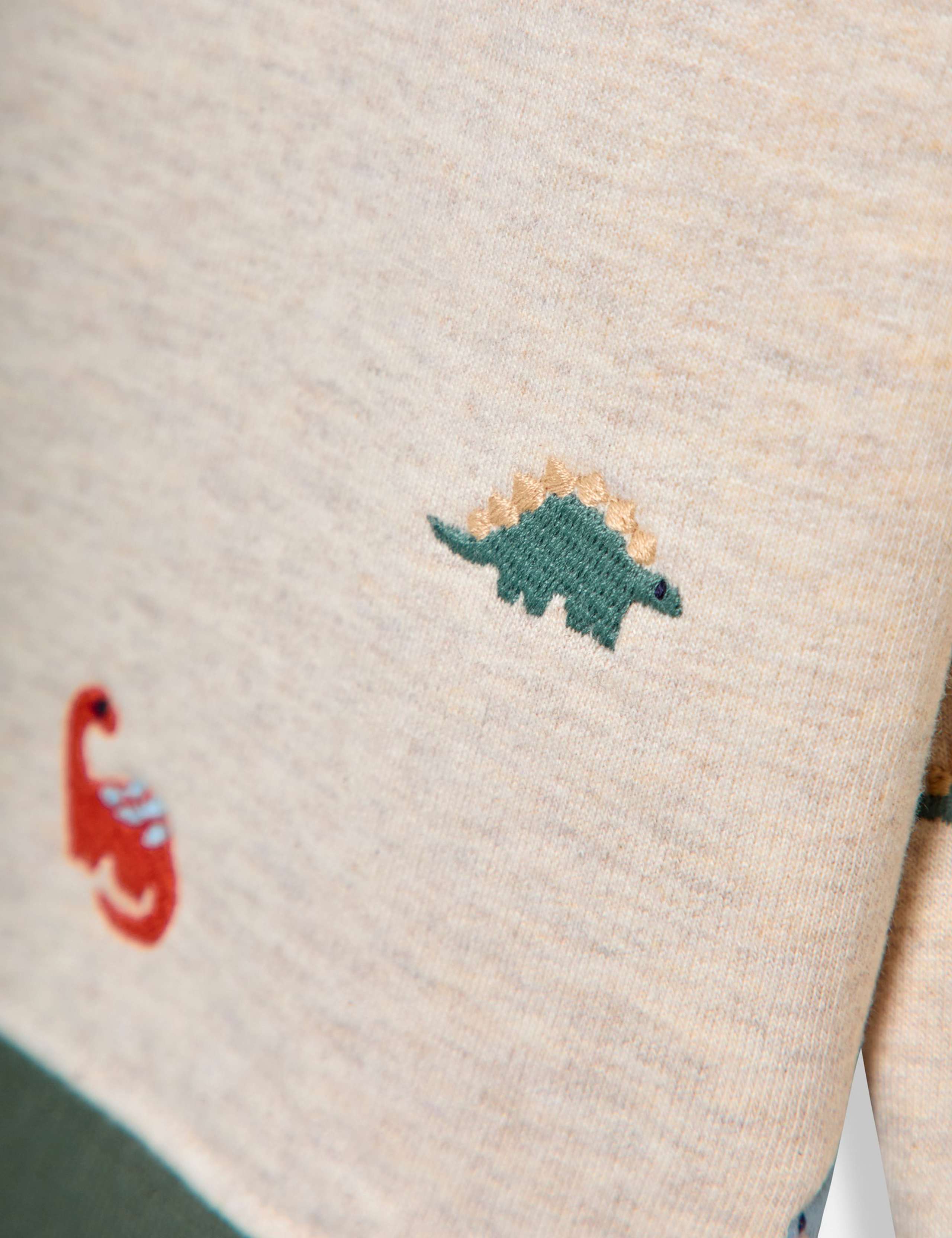 Cotton Rich Dino Embroidered Sweatshirt (6 Mths-7 Yrs) 3 of 3