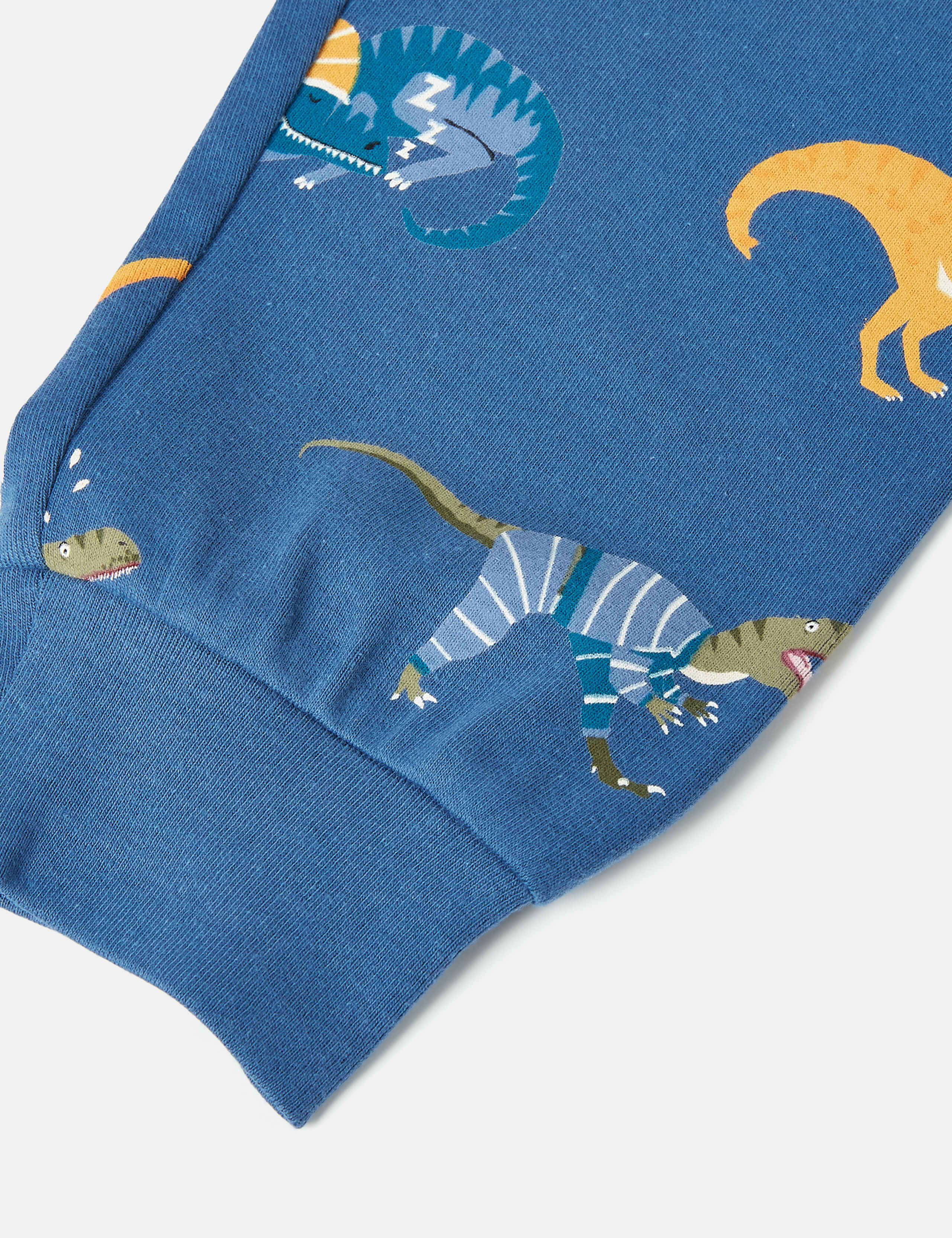 Cotton Rich Dinosaur Pyjama Bottoms (2-11 Yrs) 3 of 3