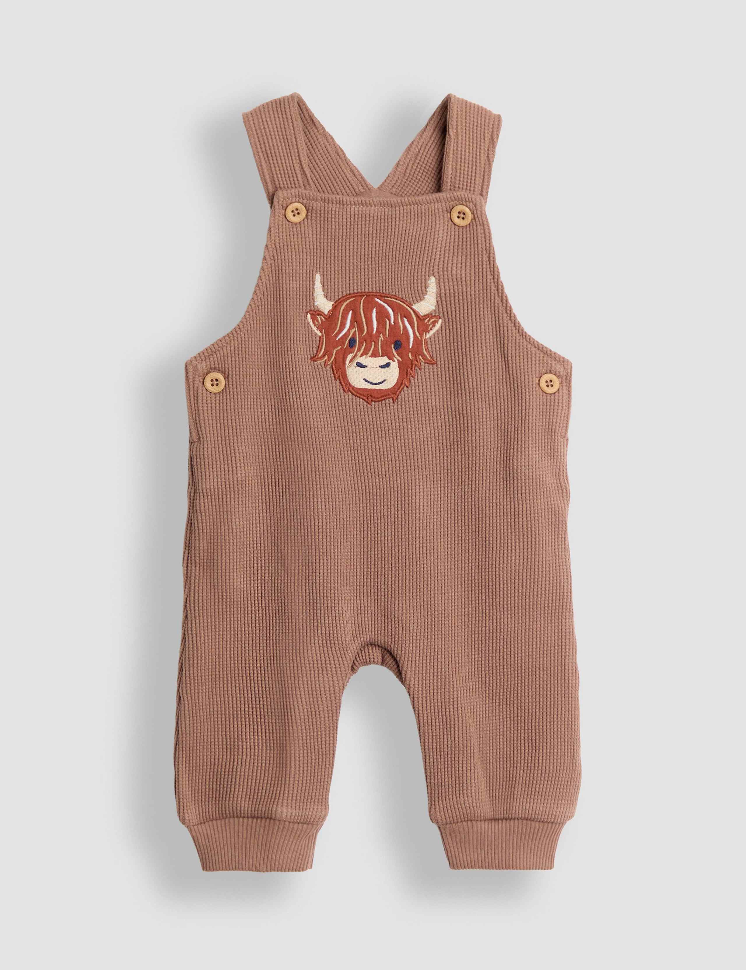 Pure Cotton Dungarees (0-24 Mths) 2 of 5