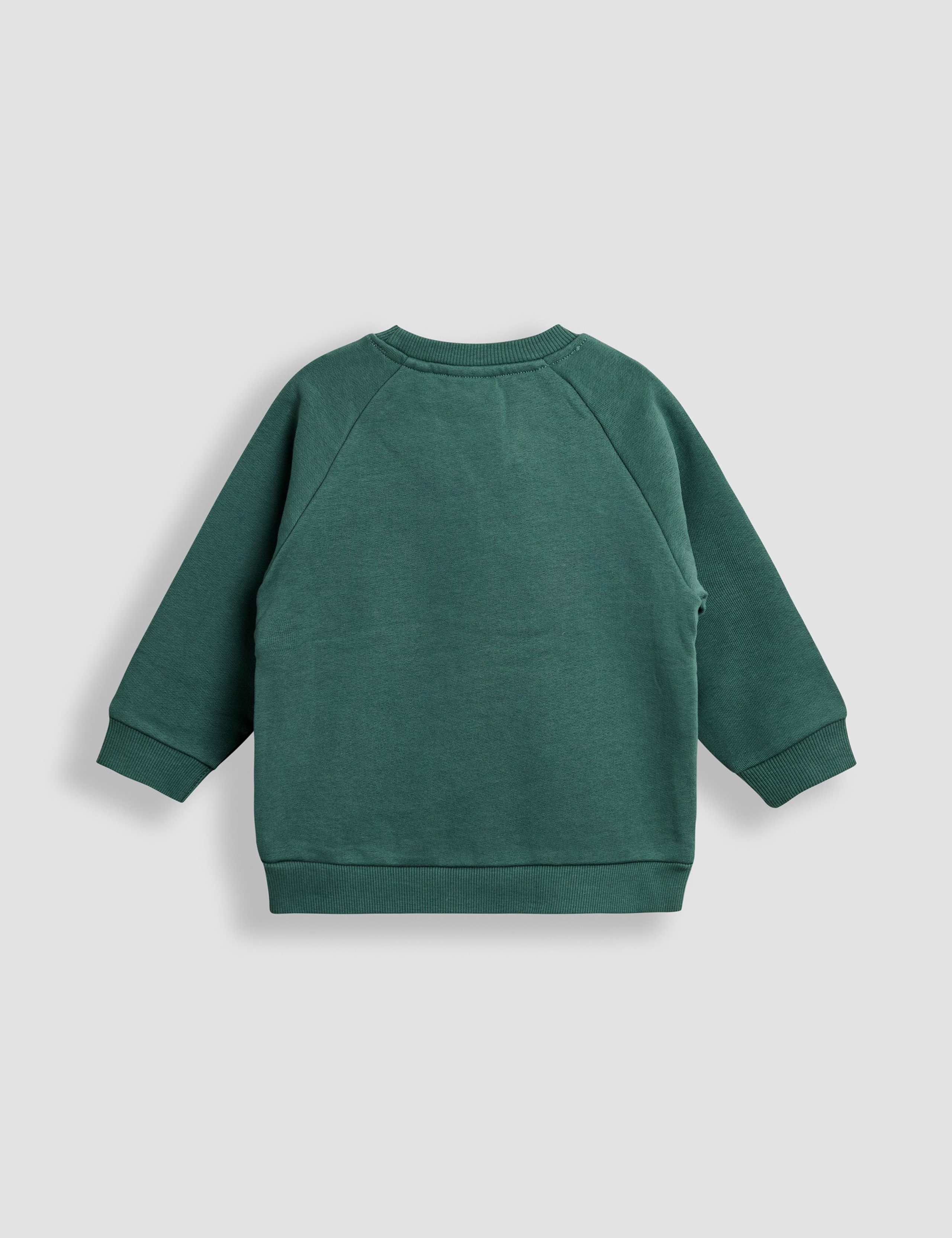 Cotton Rich T-Rex Applique Sweatshirt (6 Mths-7 Yrs) 2 of 4