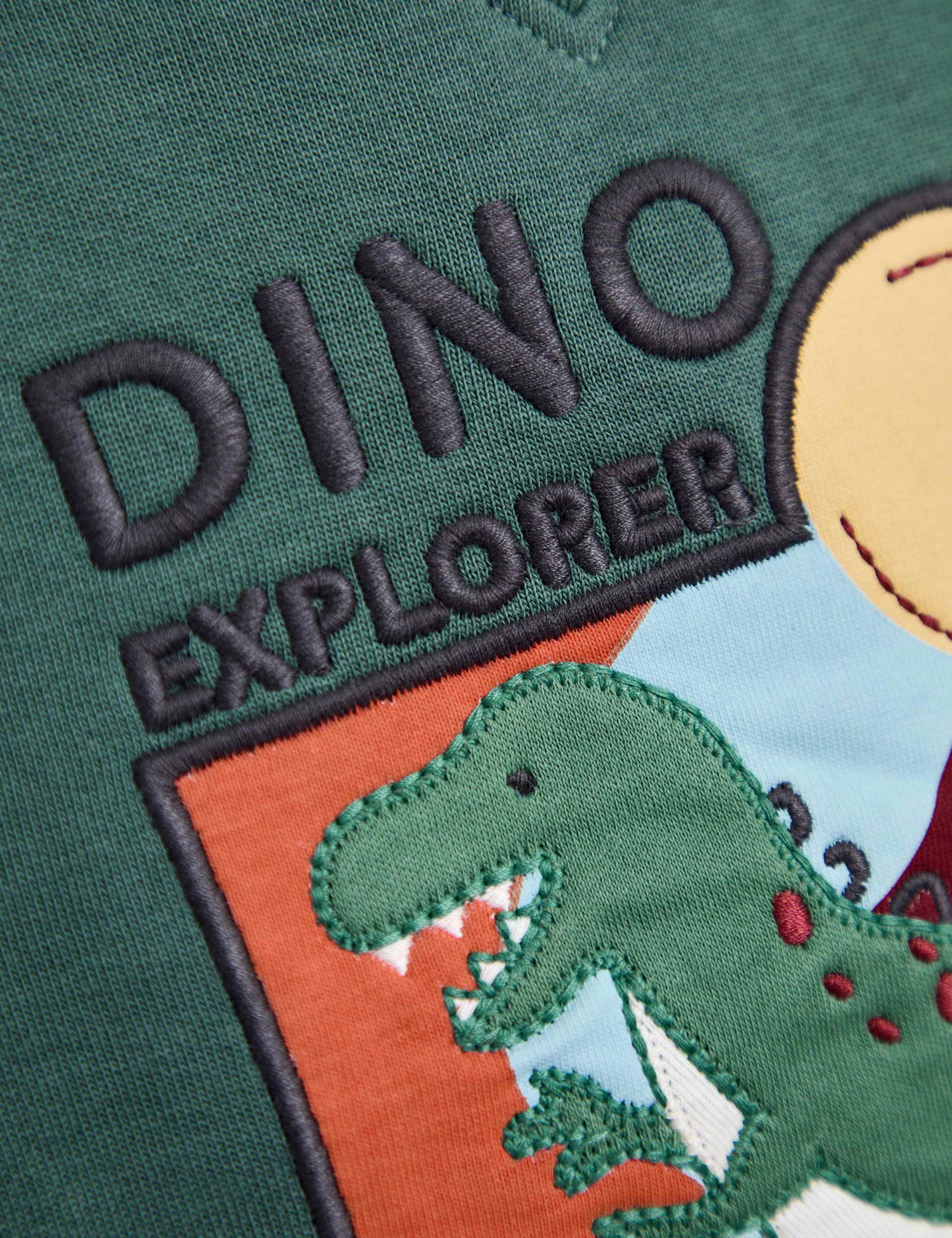 Cotton Rich T-Rex Applique Sweatshirt (6 Mths-7 Yrs) 3 of 4