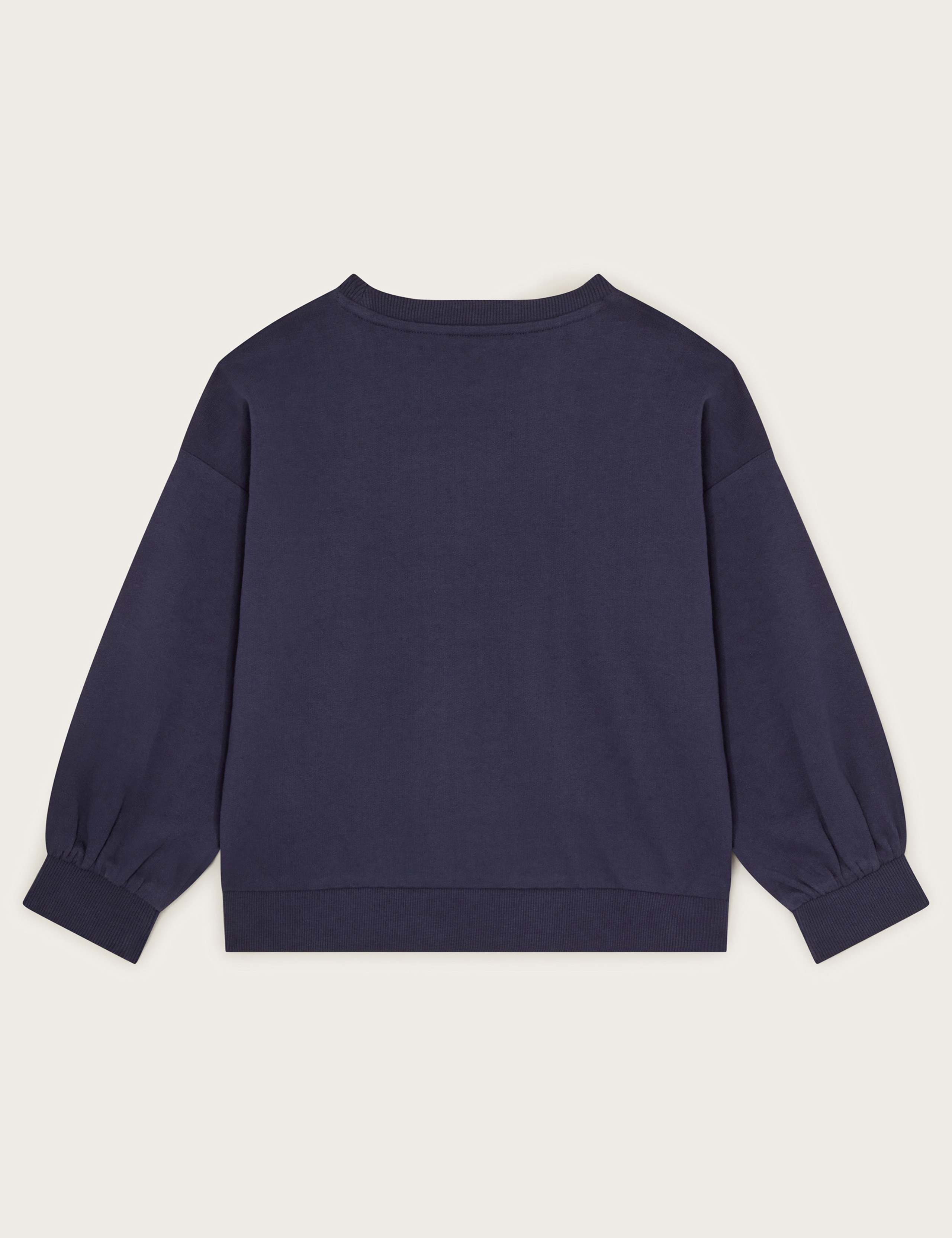 Pure Cotton Dinosaur Sweatshirt (2-13 Yrs) 2 of 3