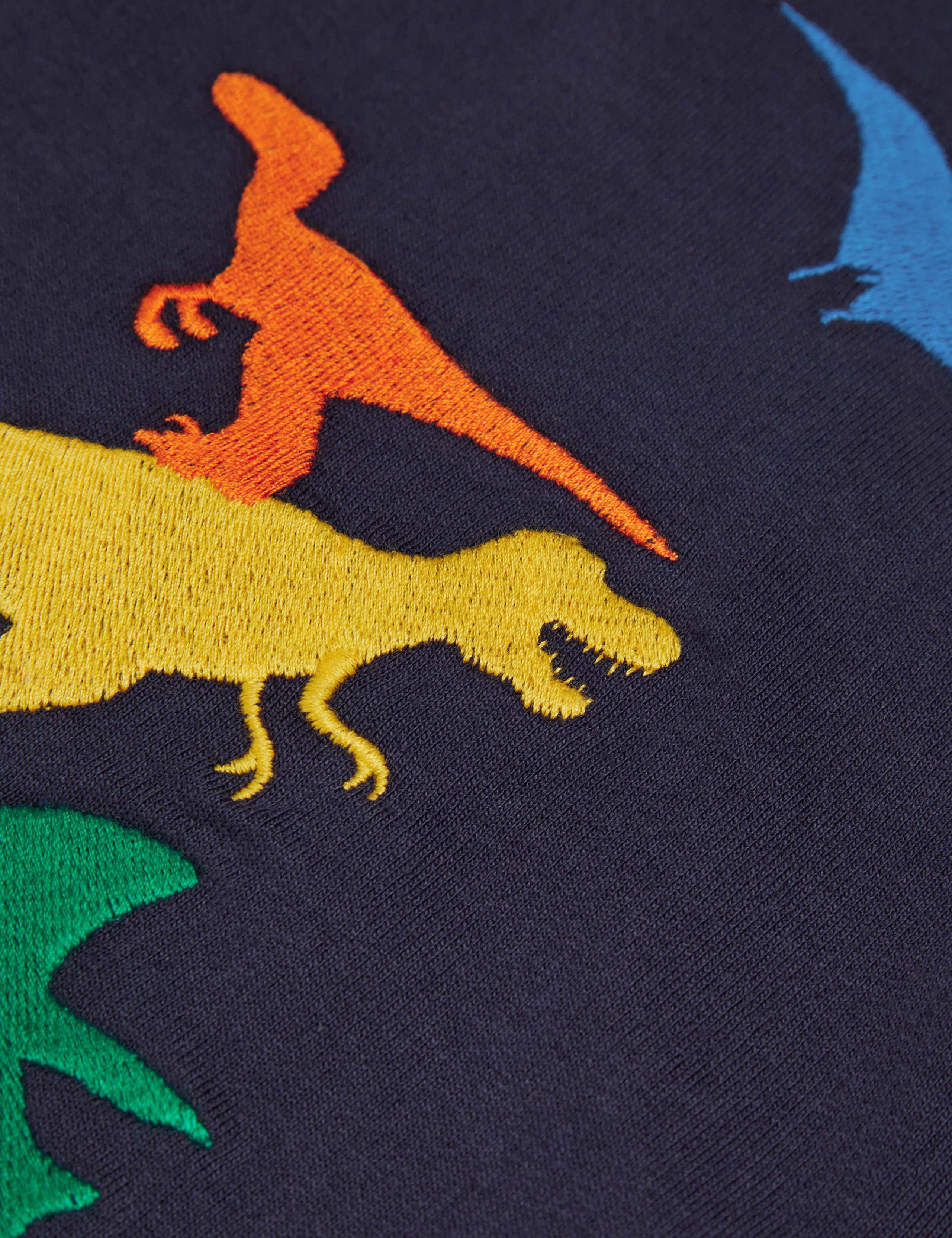 Pure Cotton Dinosaur Sweatshirt (2-13 Yrs) 3 of 3
