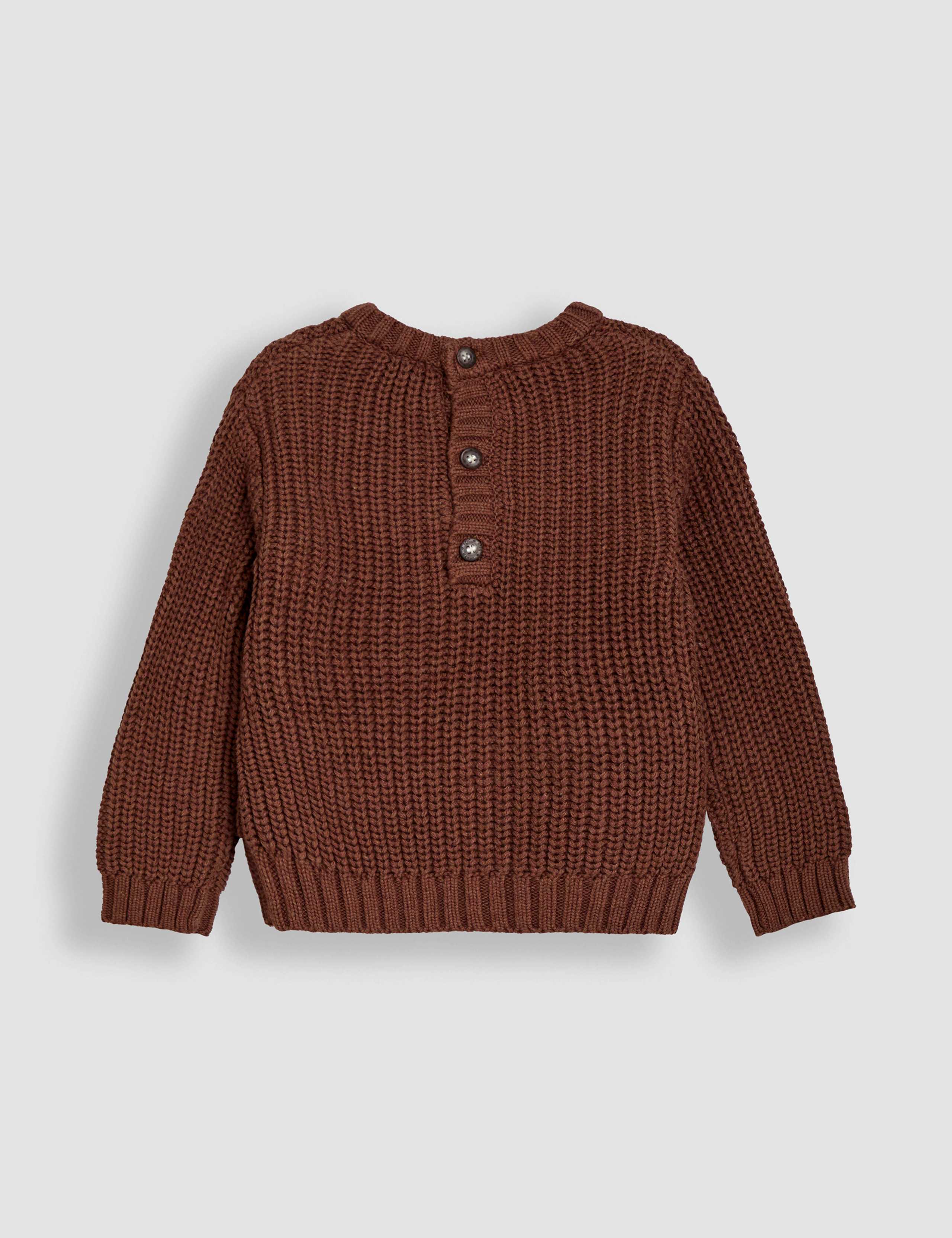 Pure Cotton Dinosaur Jumper (0 Mths-5 Yrs) 3 of 3