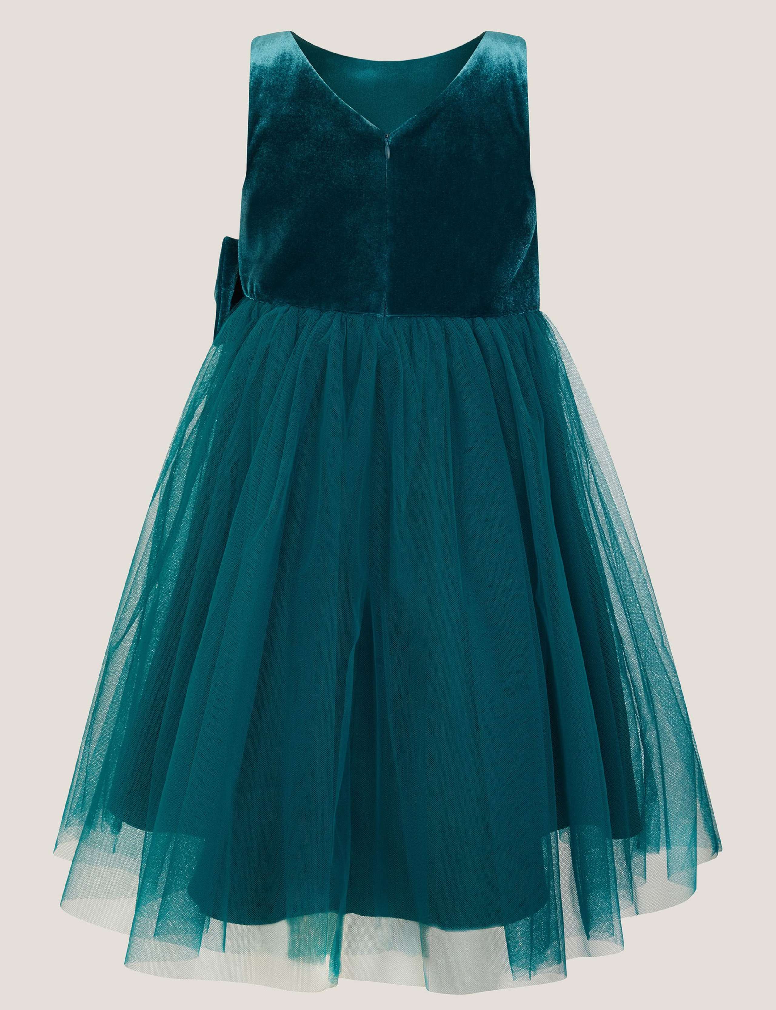Velvet Bow Tulle Dress 4 of 4