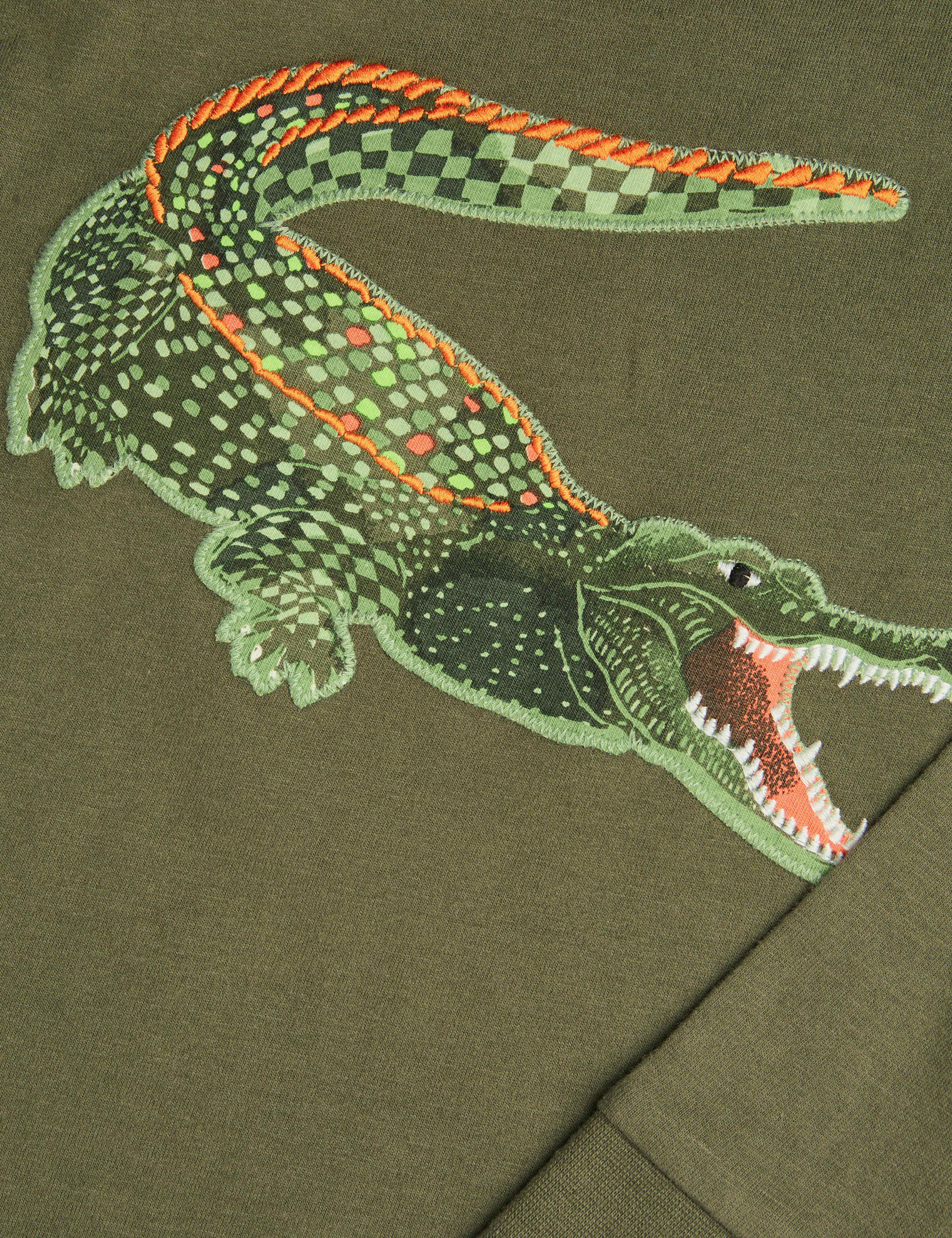 Pure Cotton Crocodile T-Shirt (2-13 Yrs) 2 of 3