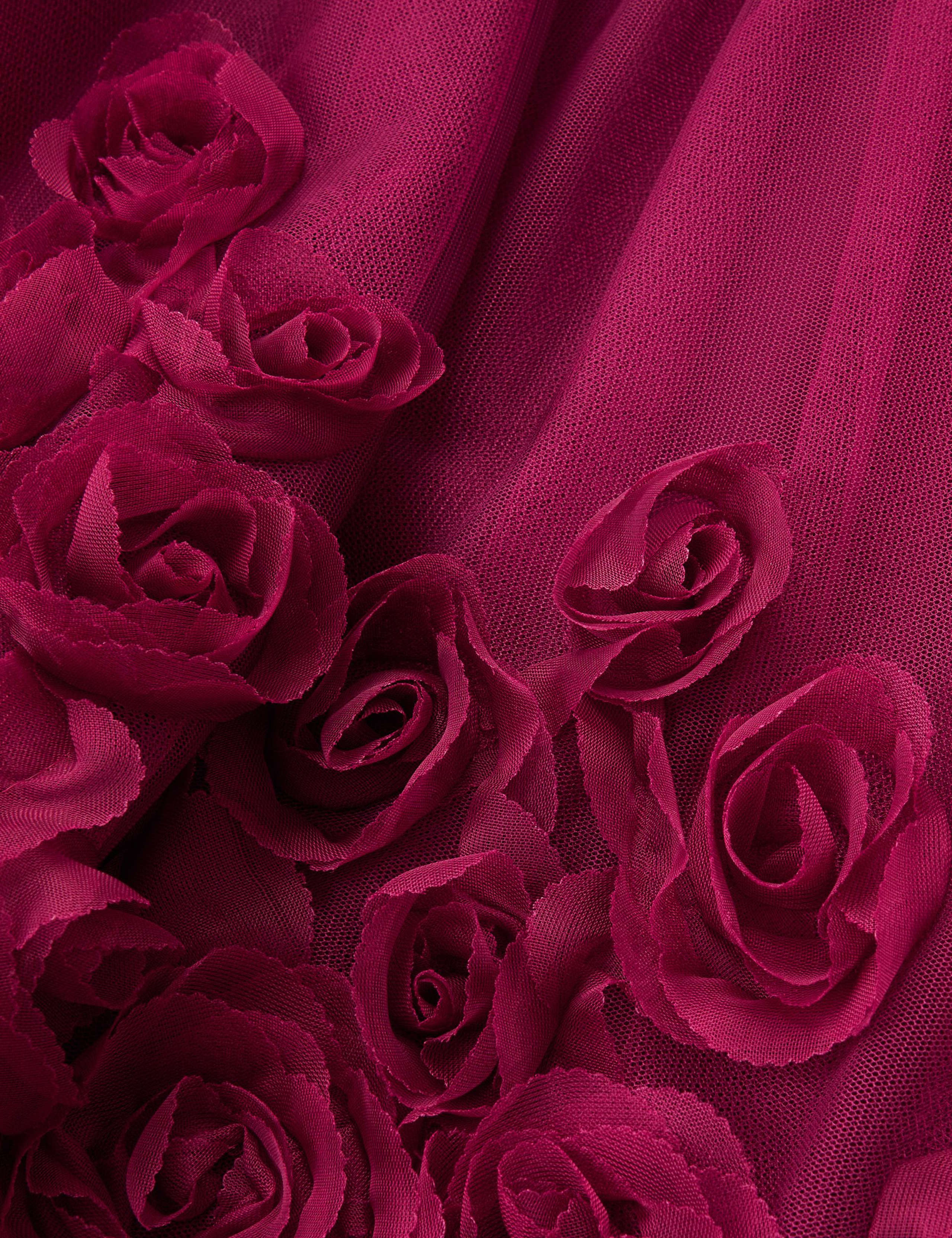 Velvet Rose Applique Dress (3-15 Yrs) 4 of 4