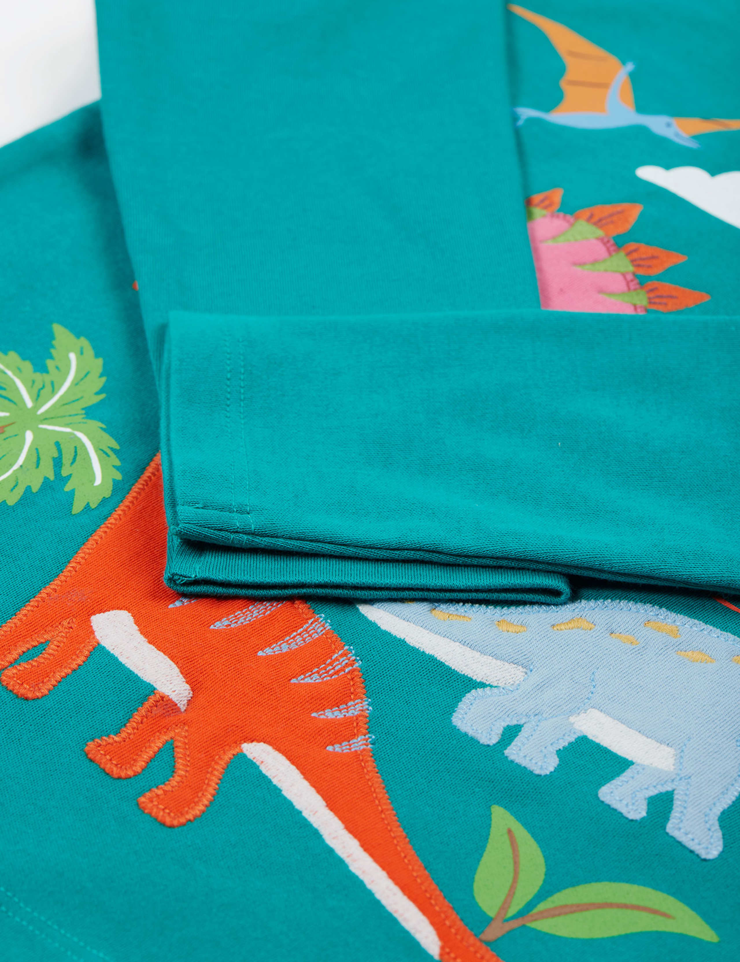 Pure Cotton Dinosaur Applique Top (0-8 Yrs) 4 of 5