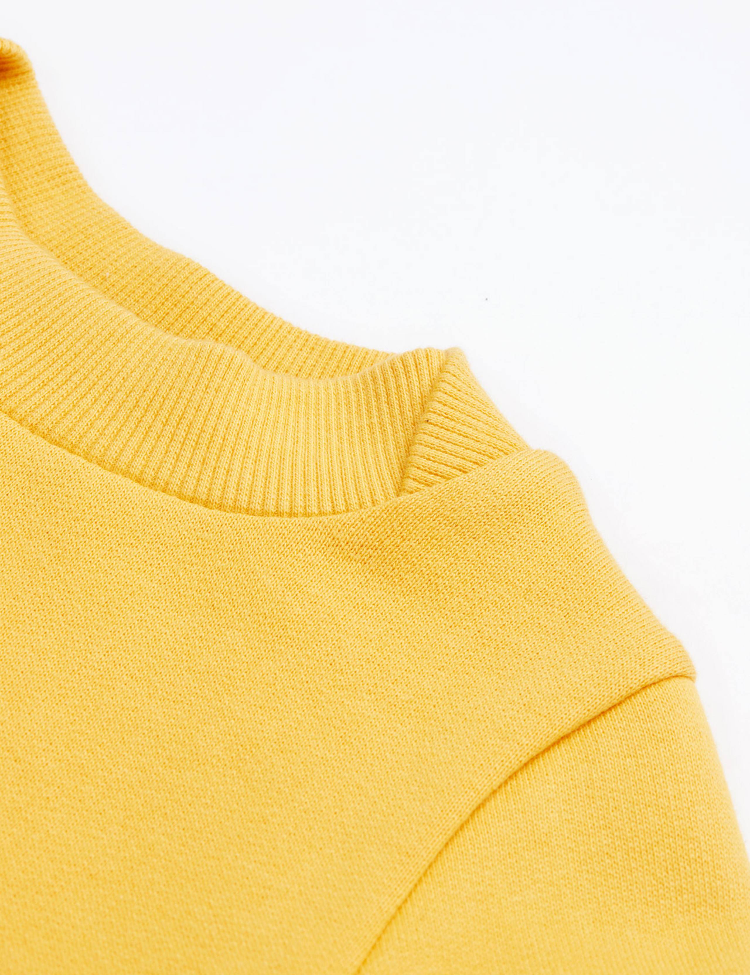 Pure Cotton Dinosaur Jumper (0-8 Yrs) 3 of 6