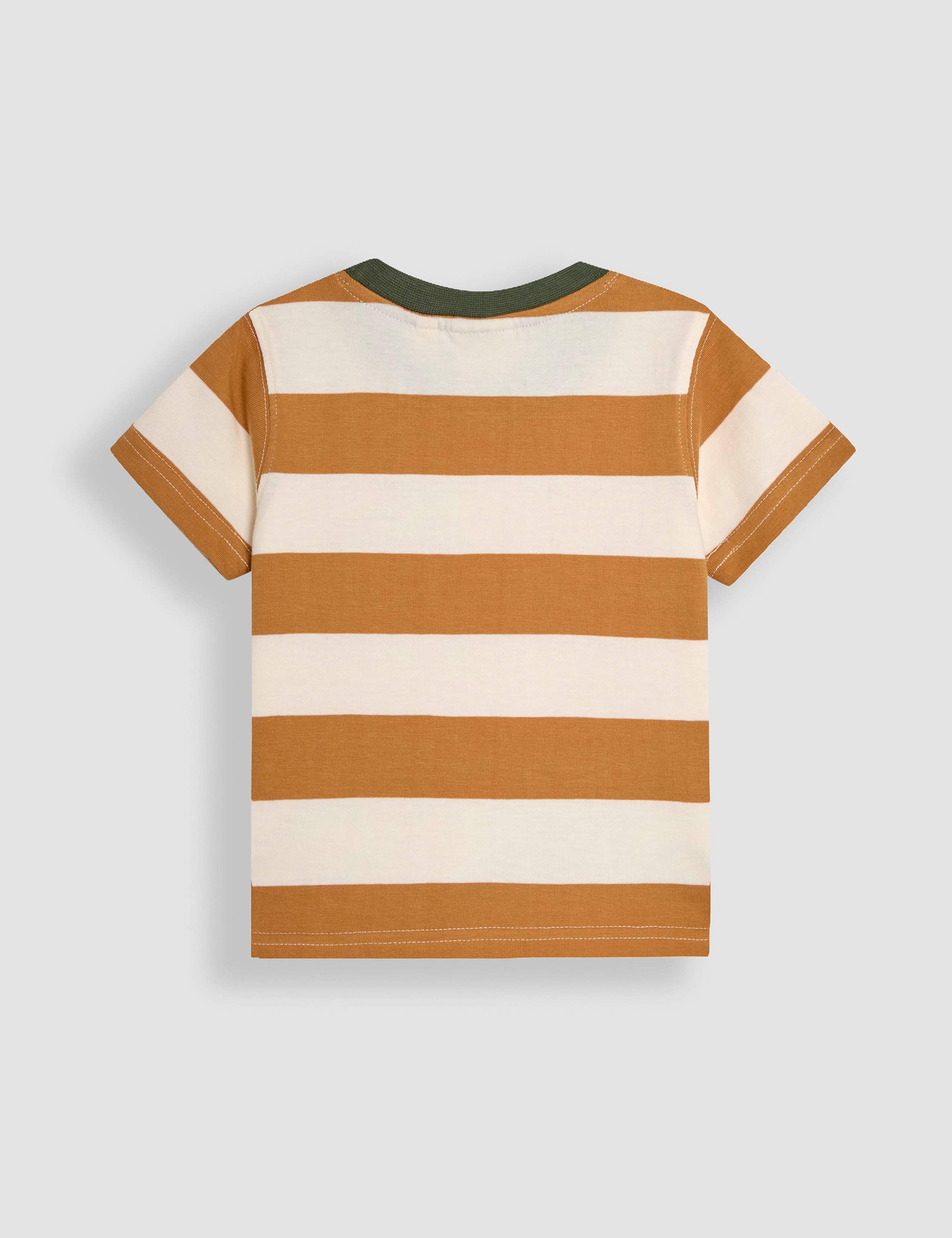 Pure Cotton T-Rex Appliqué T-Shirt (1-5 Yrs) 2 of 3