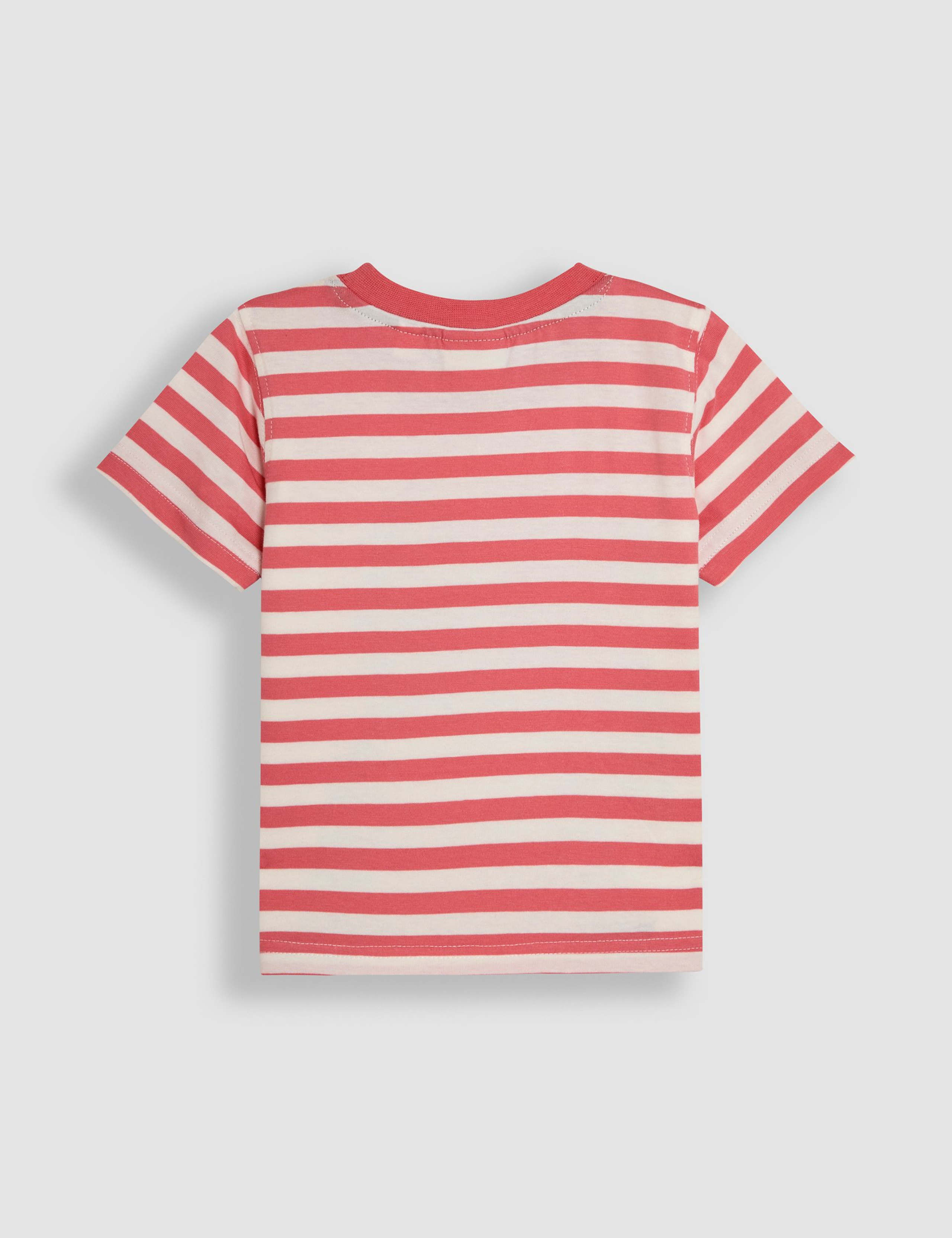 Pure Cotton Crocodile Striped T-Shirt (6 Mths-5 Yrs) 2 of 3