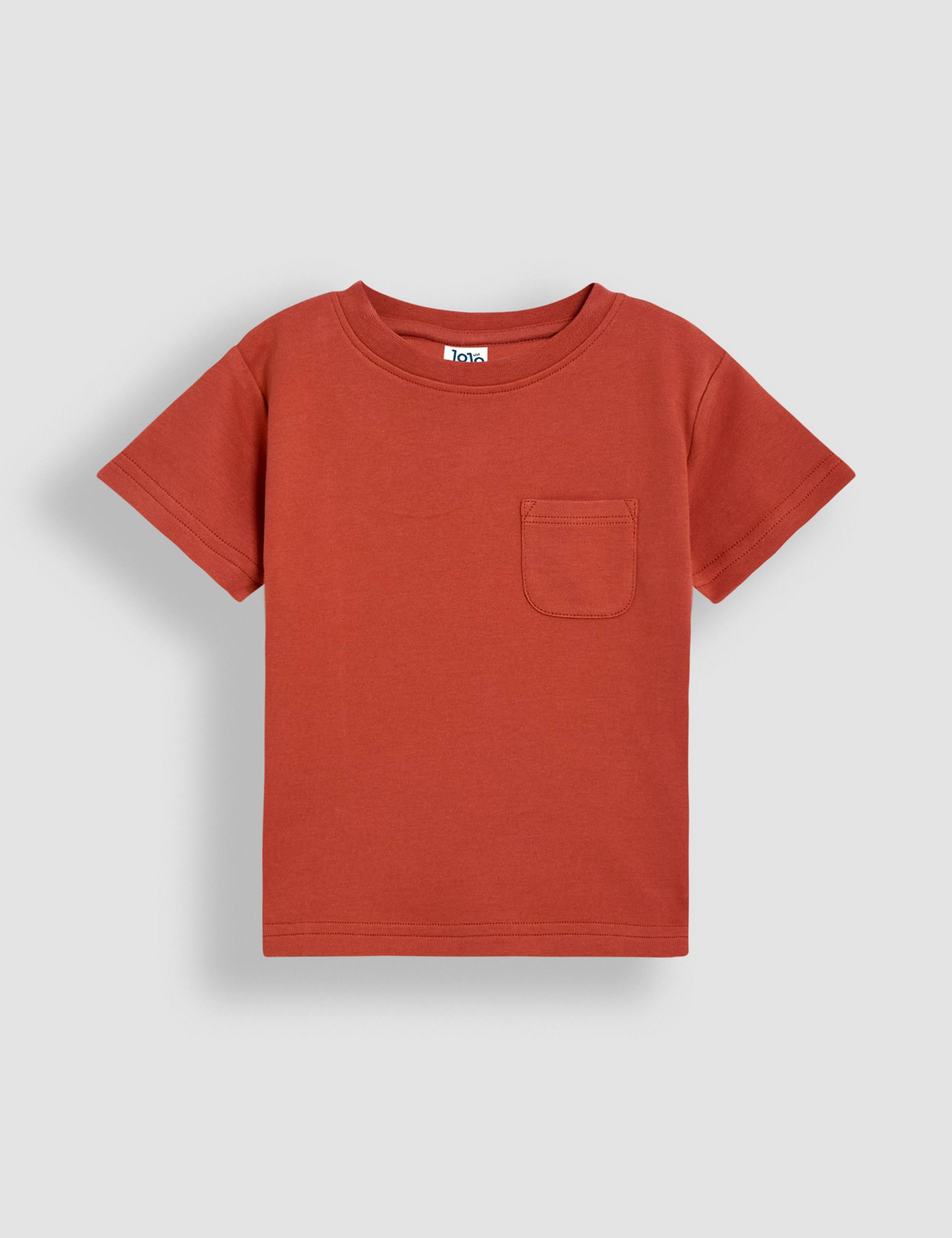 2pk Pure Cotton Safari & Plain T-Shirts (6 Mths - 5 Yrs) 2 of 5
