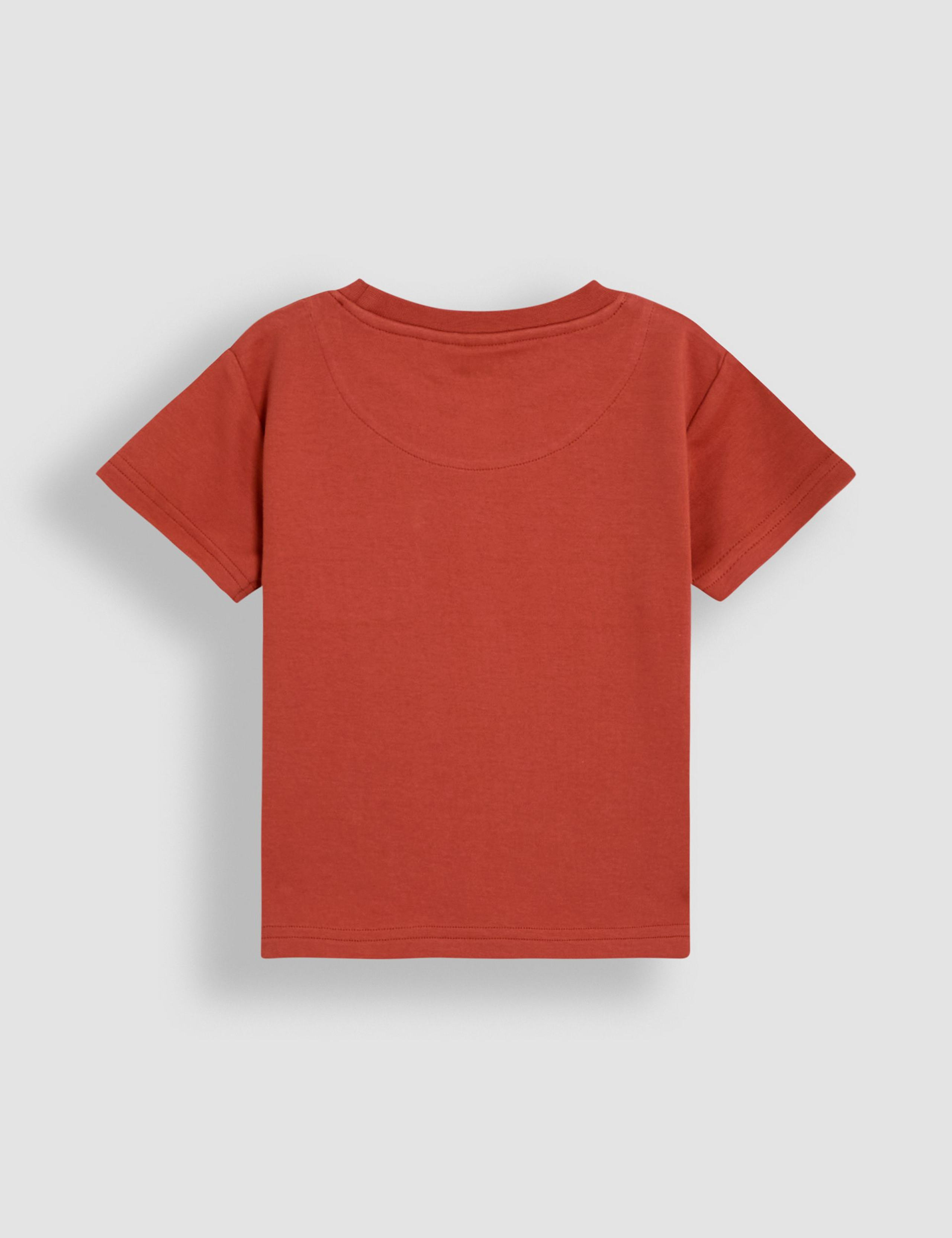 2pk Pure Cotton Safari & Plain T-Shirts (6 Mths - 5 Yrs) 3 of 5