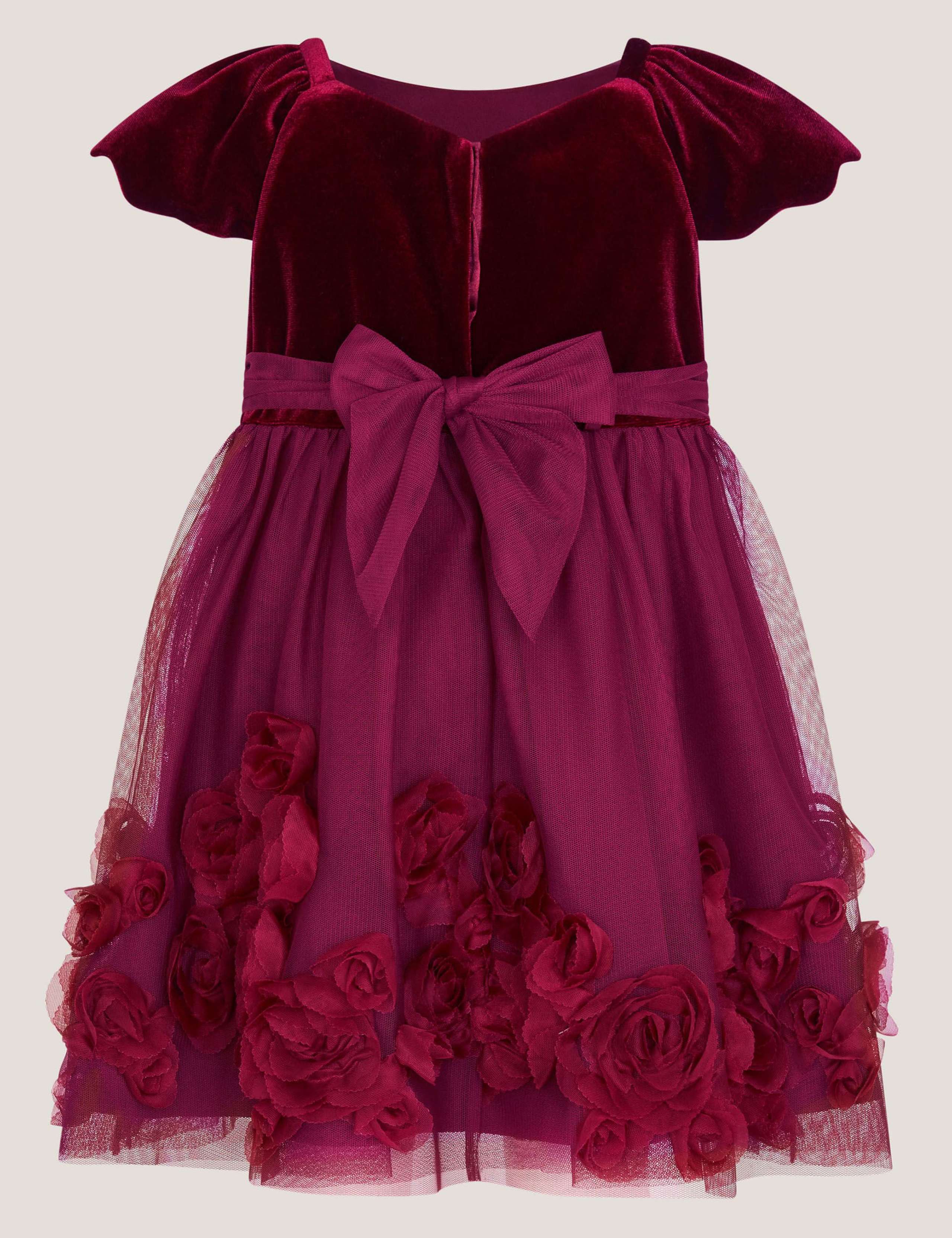 Velvet Tulle 3D Flower Occasion Dress (0-3 Yrs) 3 of 4