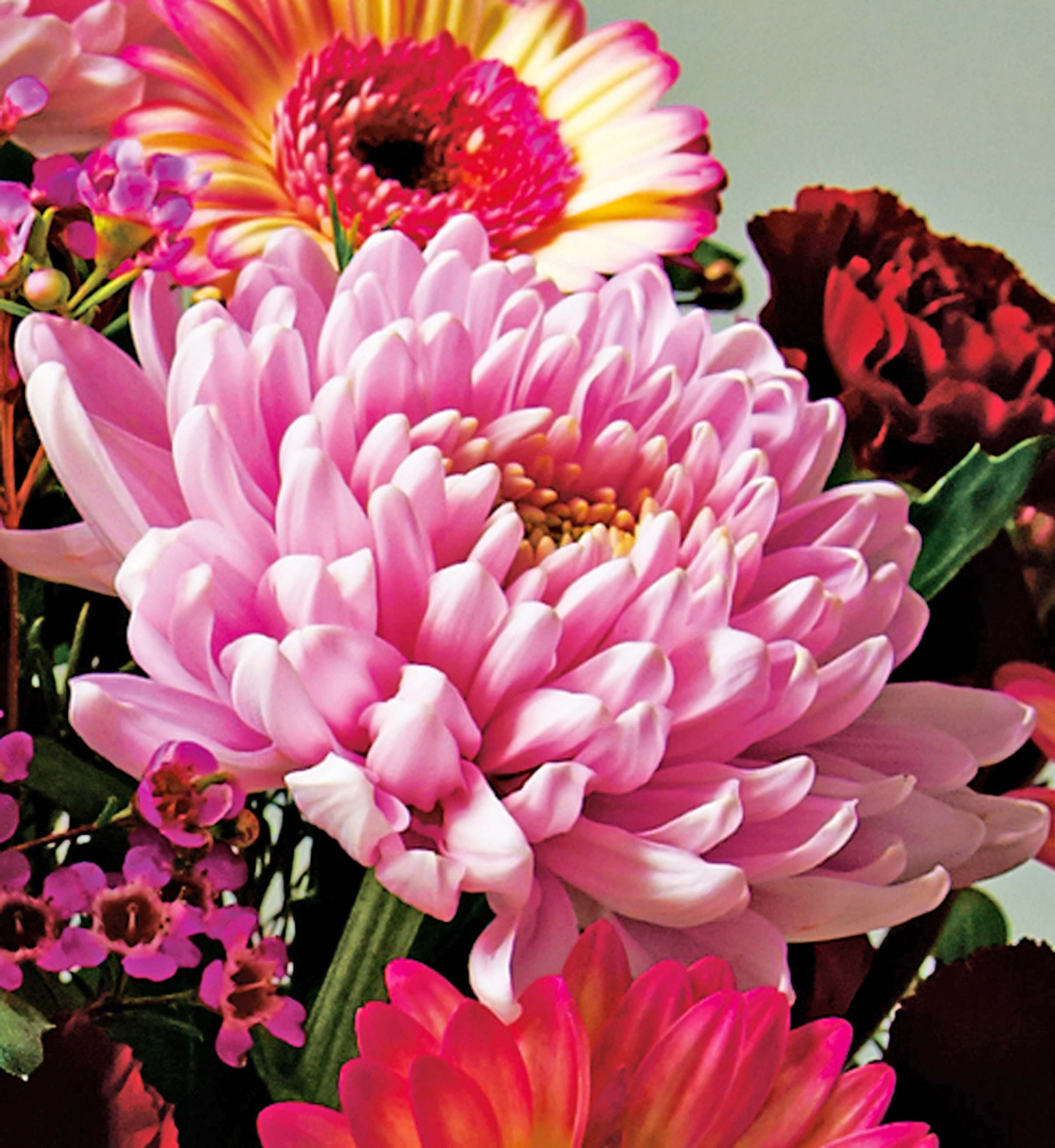 November Large Bouquet 3 of 6