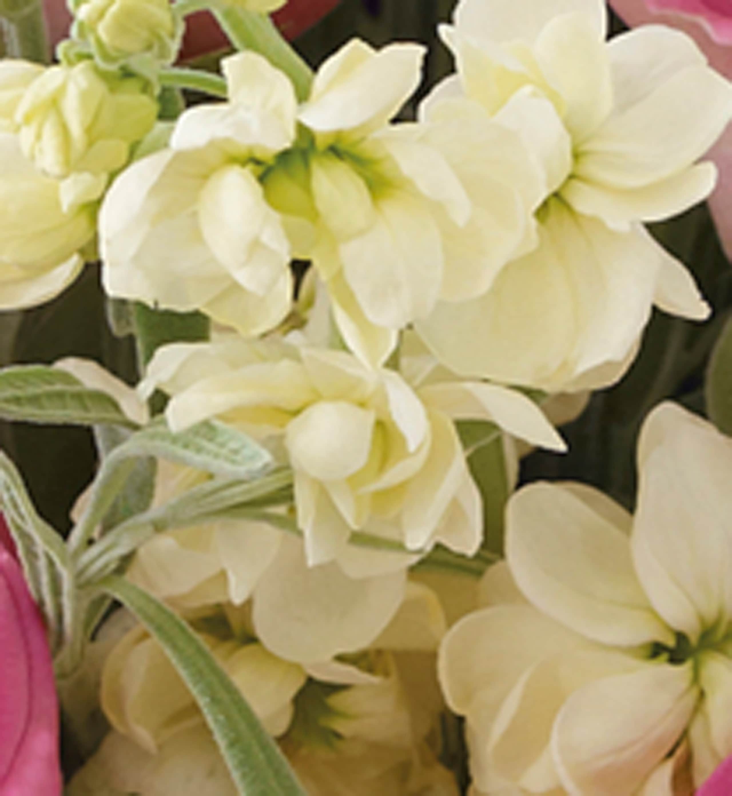 Extra Large May Bouquet 3 of 5
