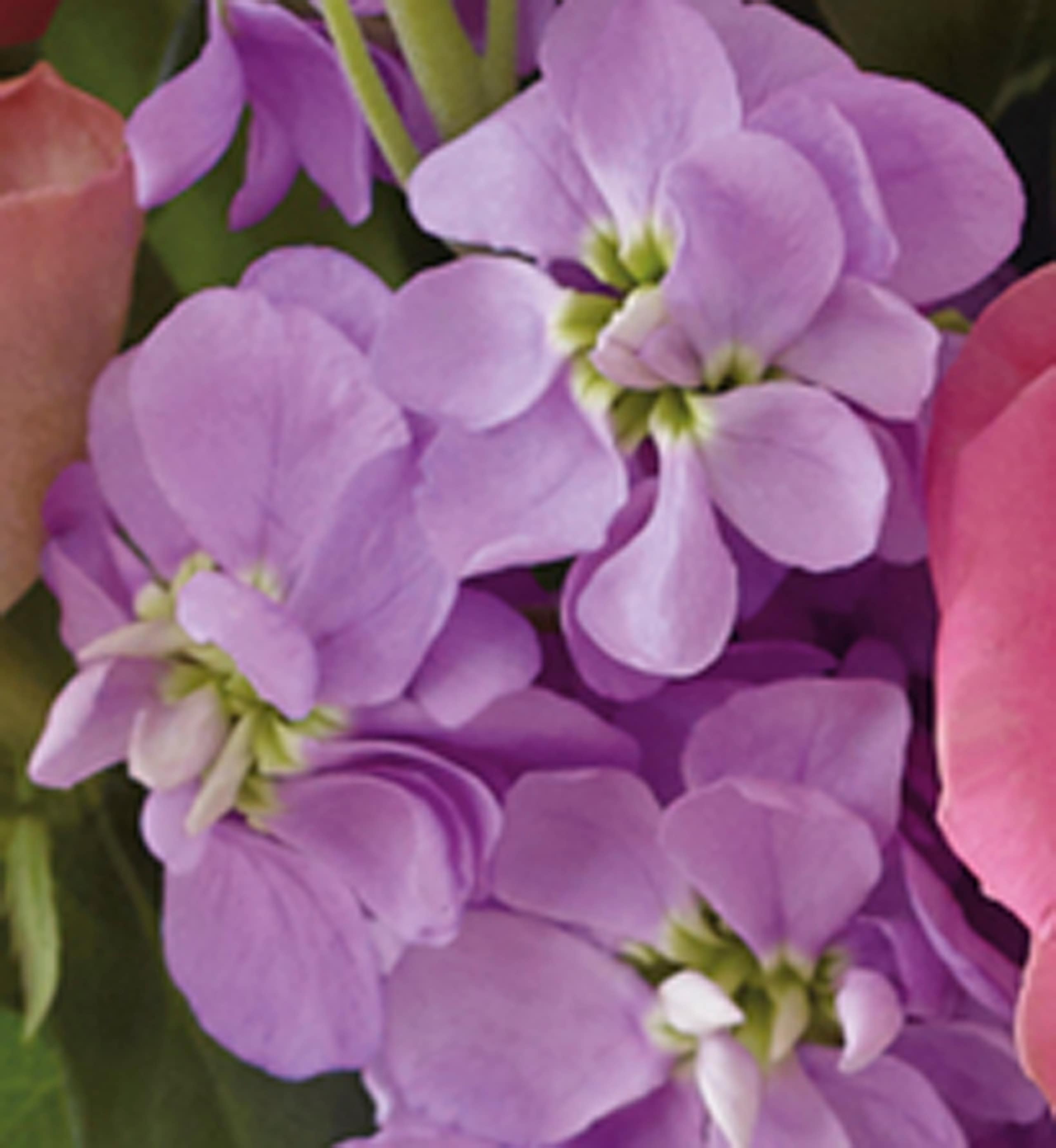 Extra Large May Bouquet 4 of 5