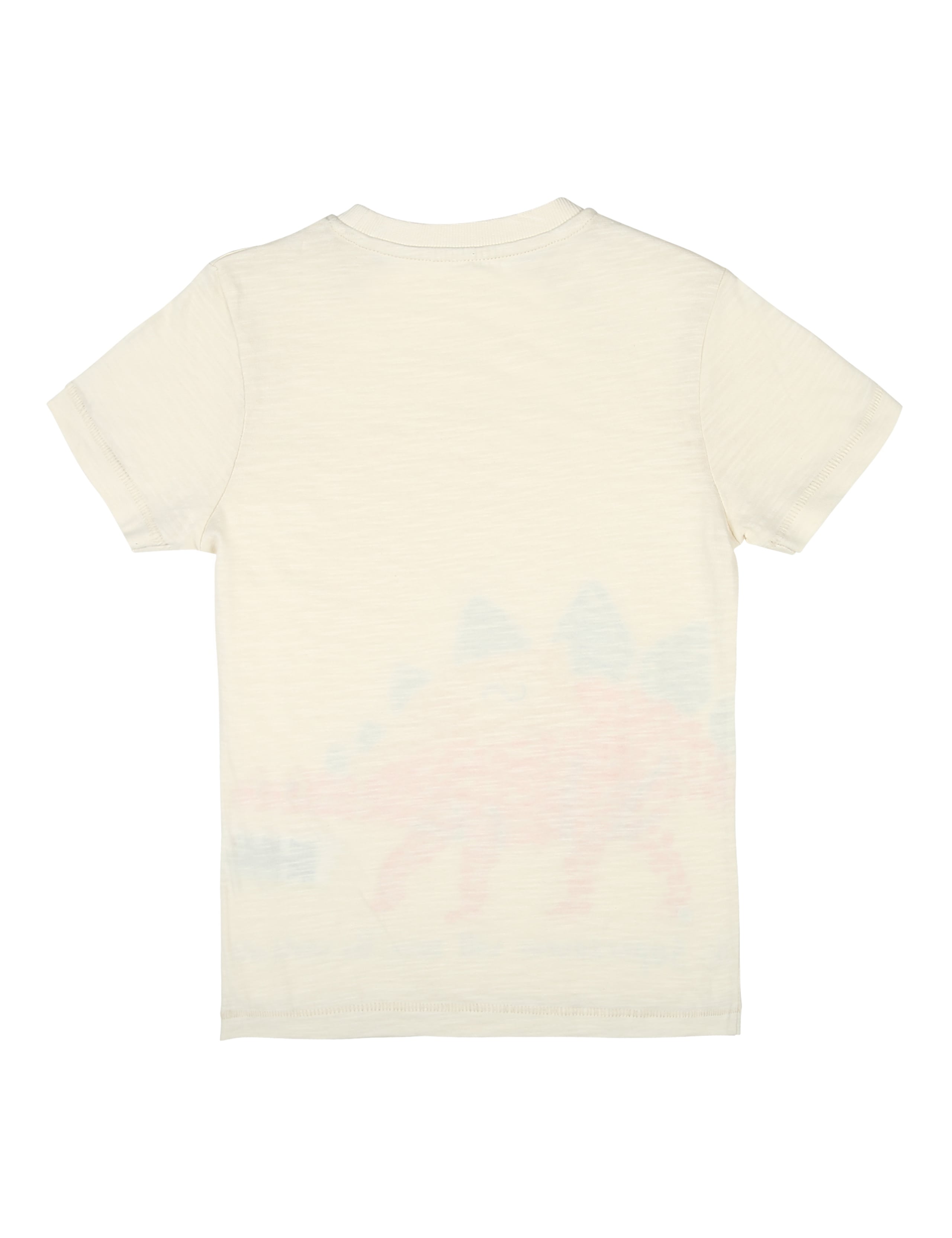 Cotton Dinosaur Print T-Shirt (2-7 years) 3 of 4