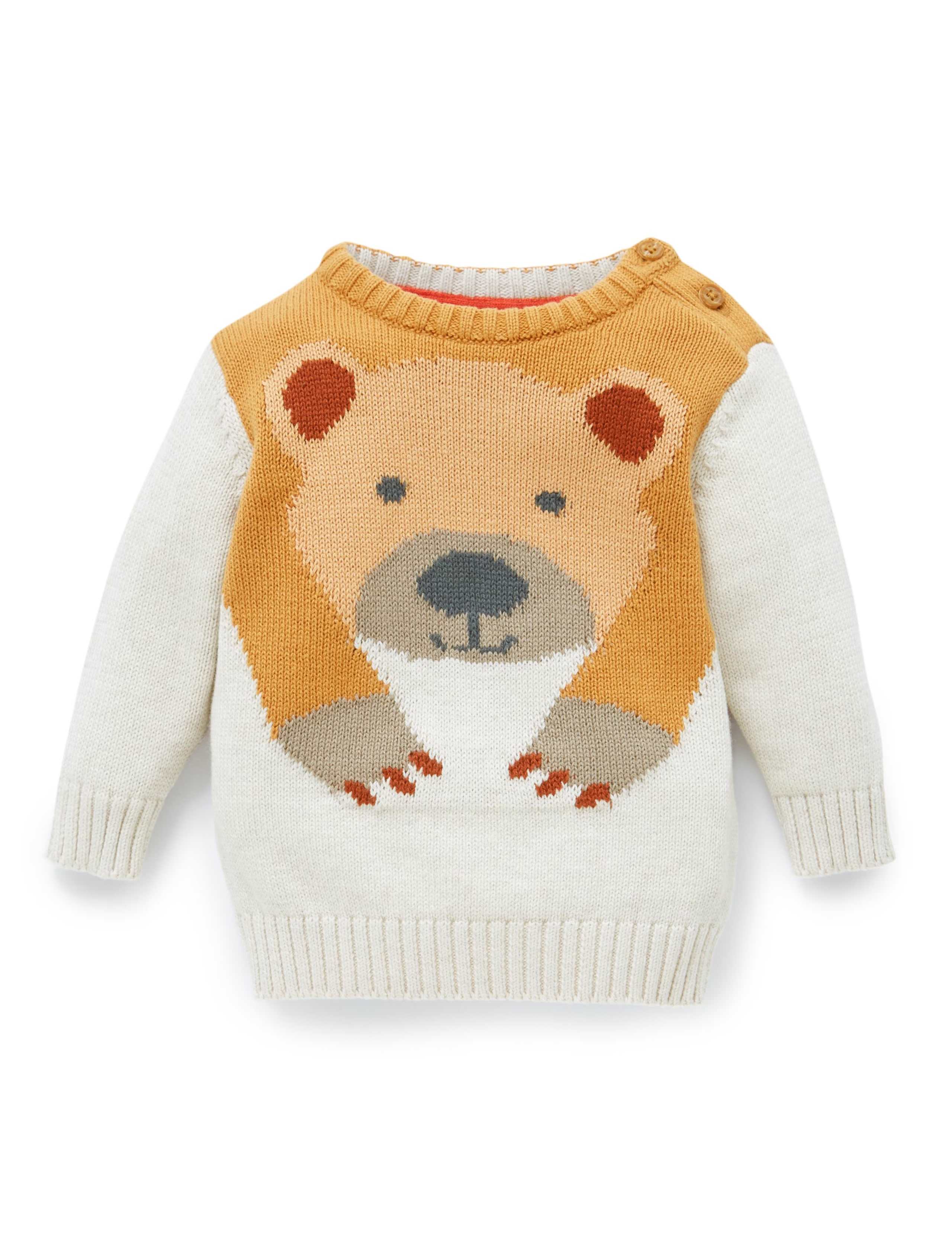 Pure Cotton Bear Print Jumper 1 of 2