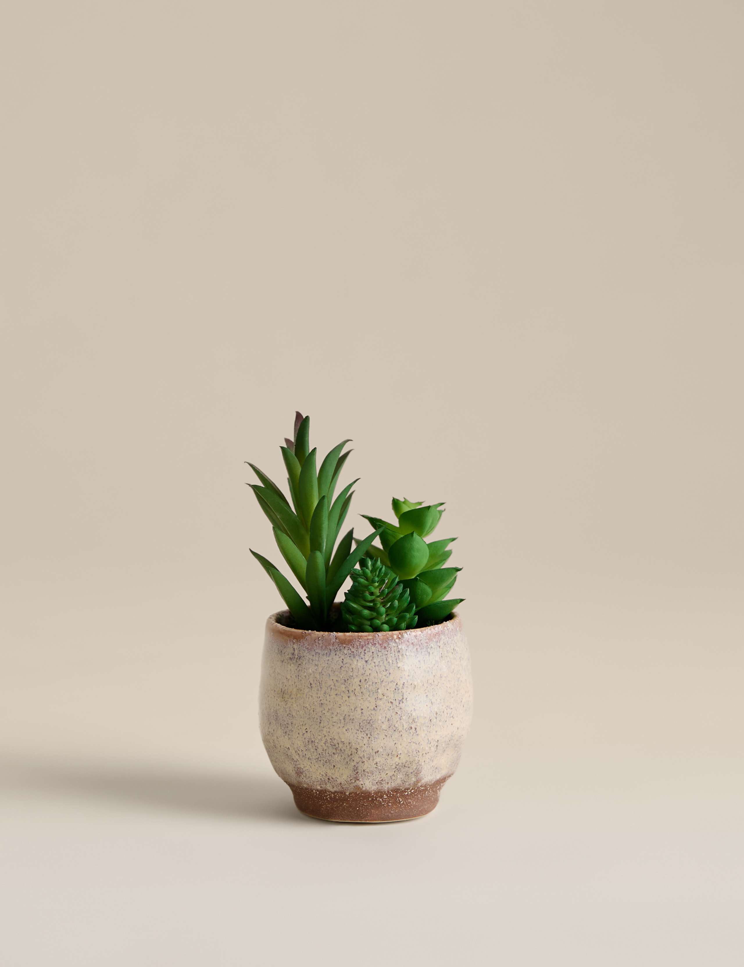 Artificial Mini Succulent in Ceramic Pot 1 of 3