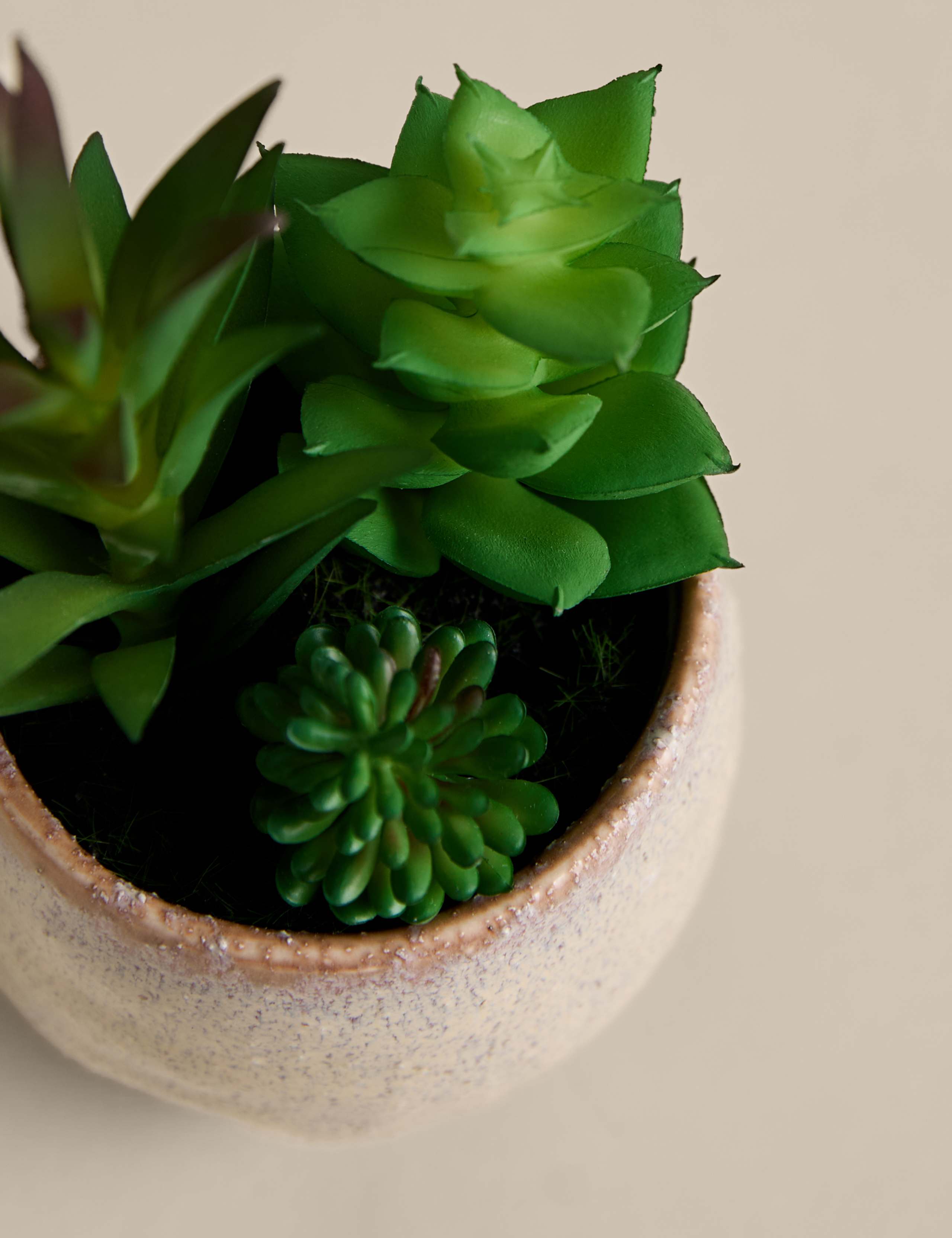 Artificial Mini Succulent in Ceramic Pot 2 of 3