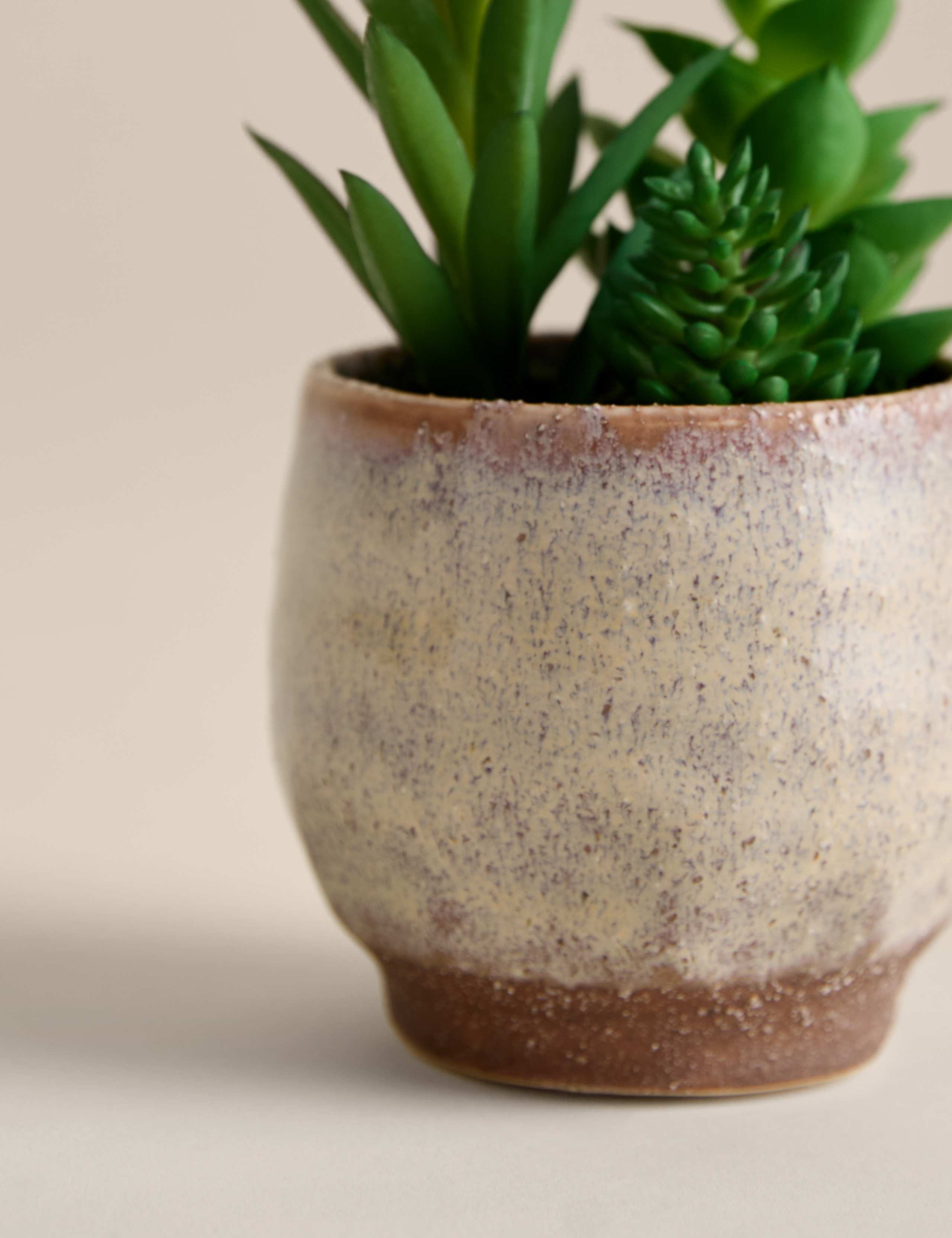 Artificial Mini Succulent in Ceramic Pot 3 of 3