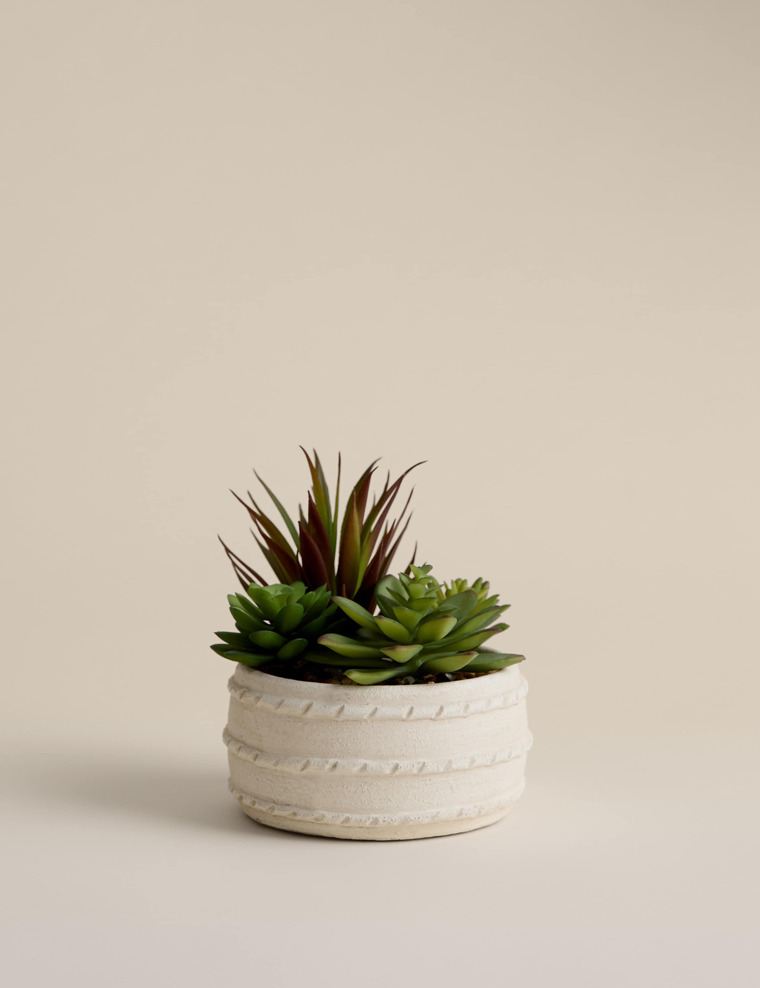 Artificial Succulent in Ceramic Pot 1 of 3