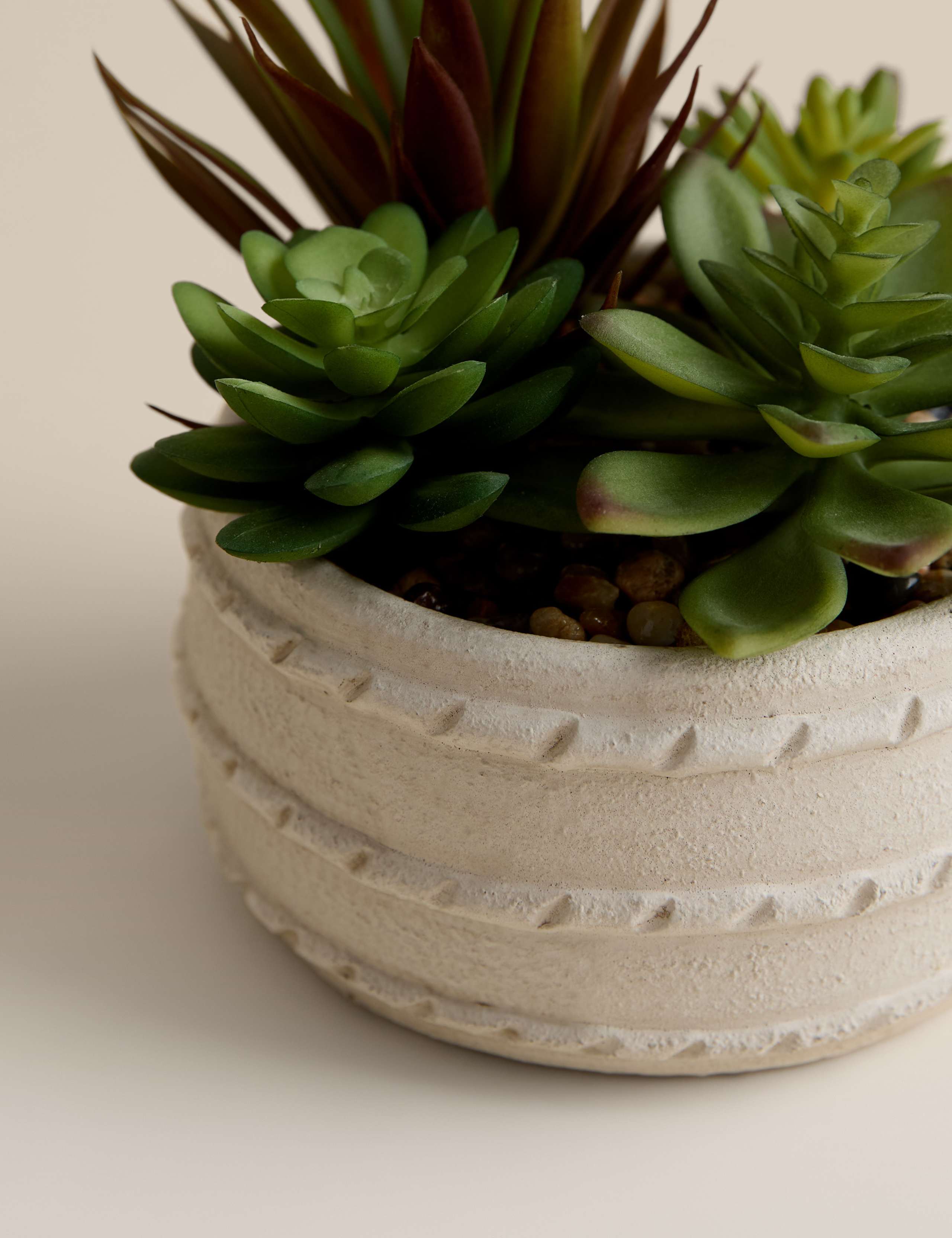 Artificial Succulent in Ceramic Pot 2 of 3