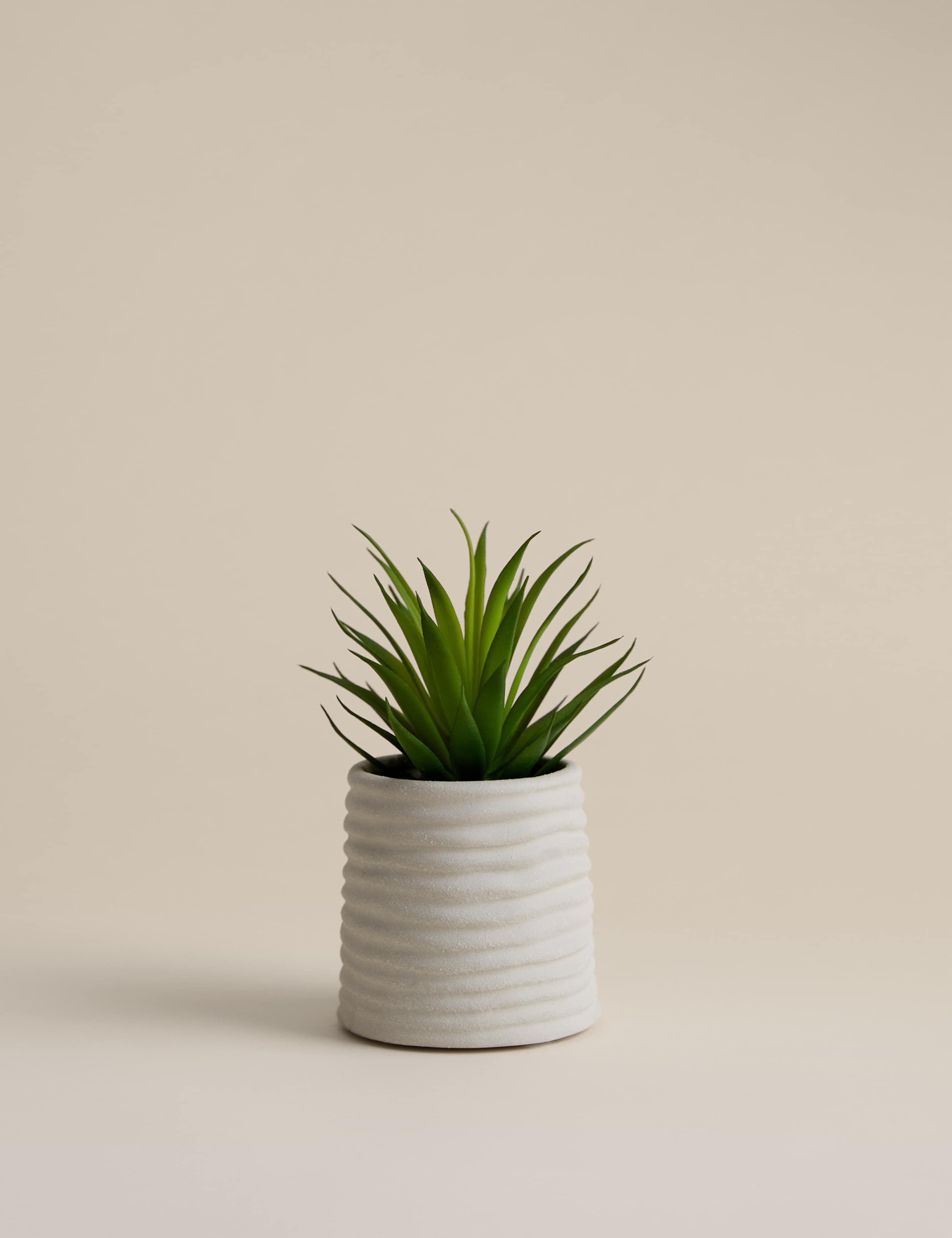 Artificial Mini Air Plant in Ceramic Pot 1 of 3
