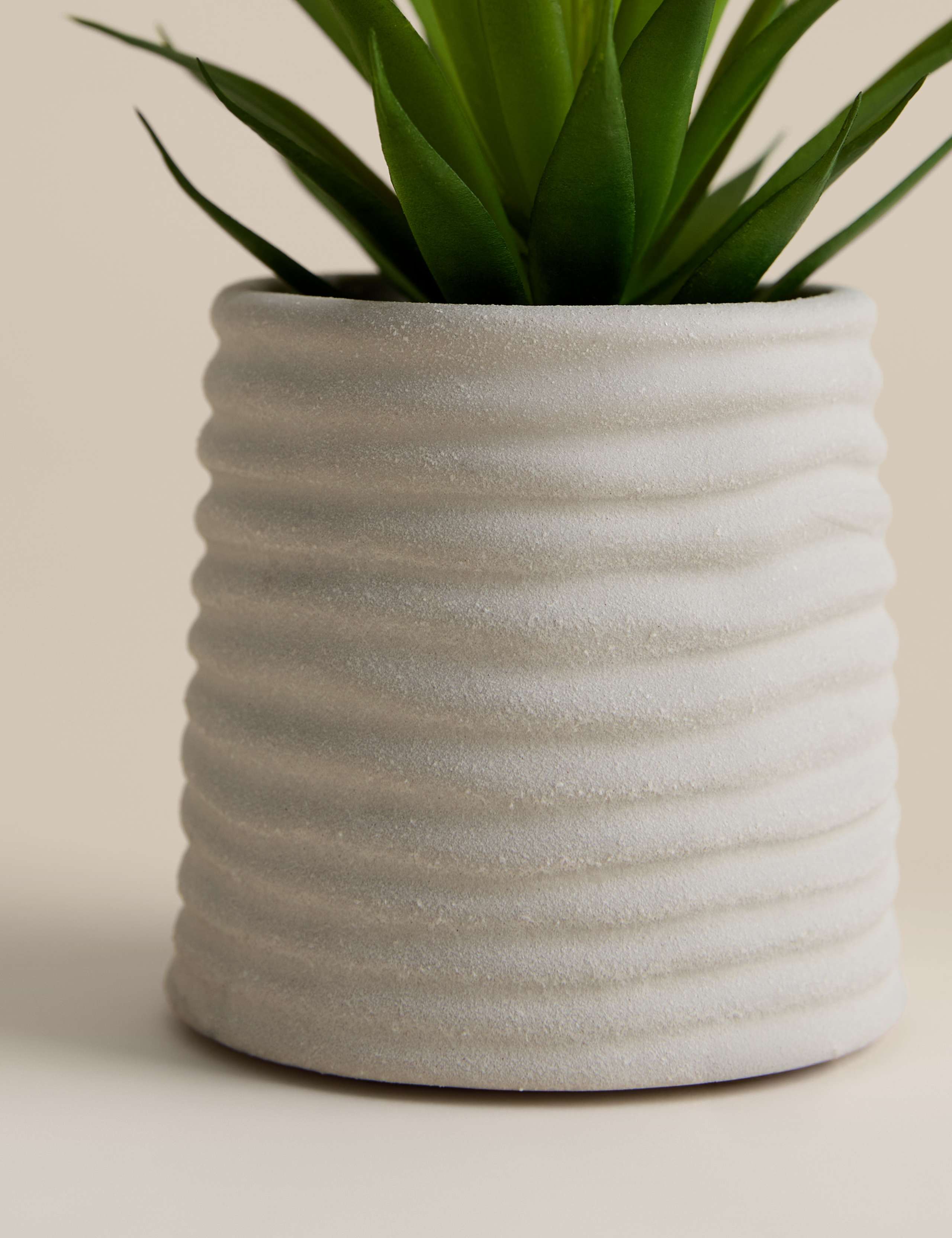 Artificial Mini Air Plant in Ceramic Pot 2 of 3