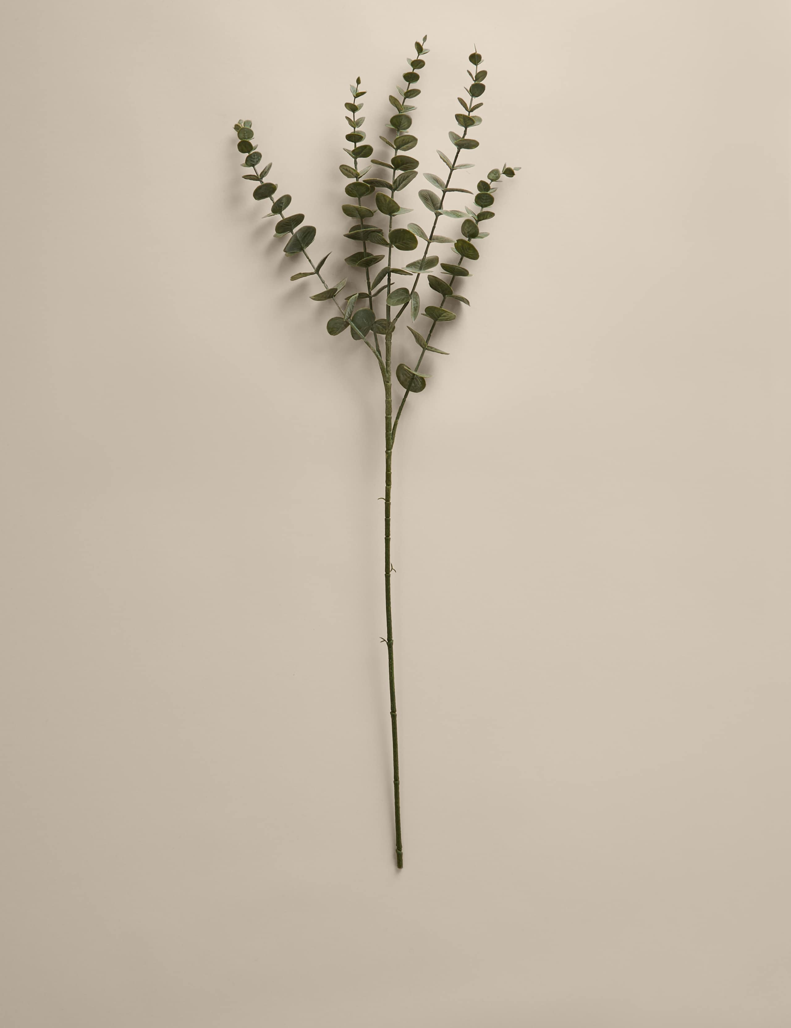 Set of 3 Artificial Waxed Eucalyptus Single Stems 2 of 3