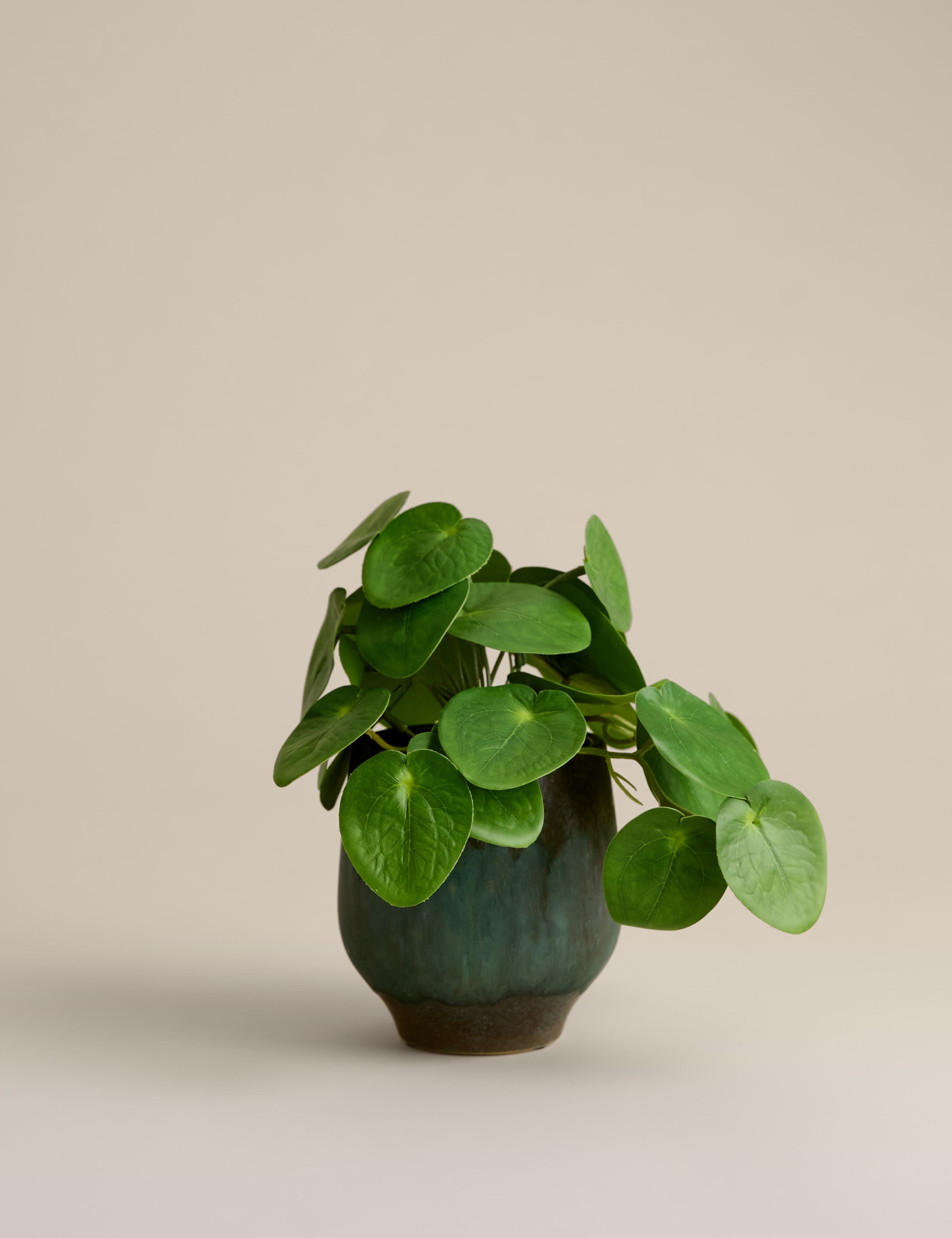 Artificial Money Plant in Ceramic Pot 1 of 3