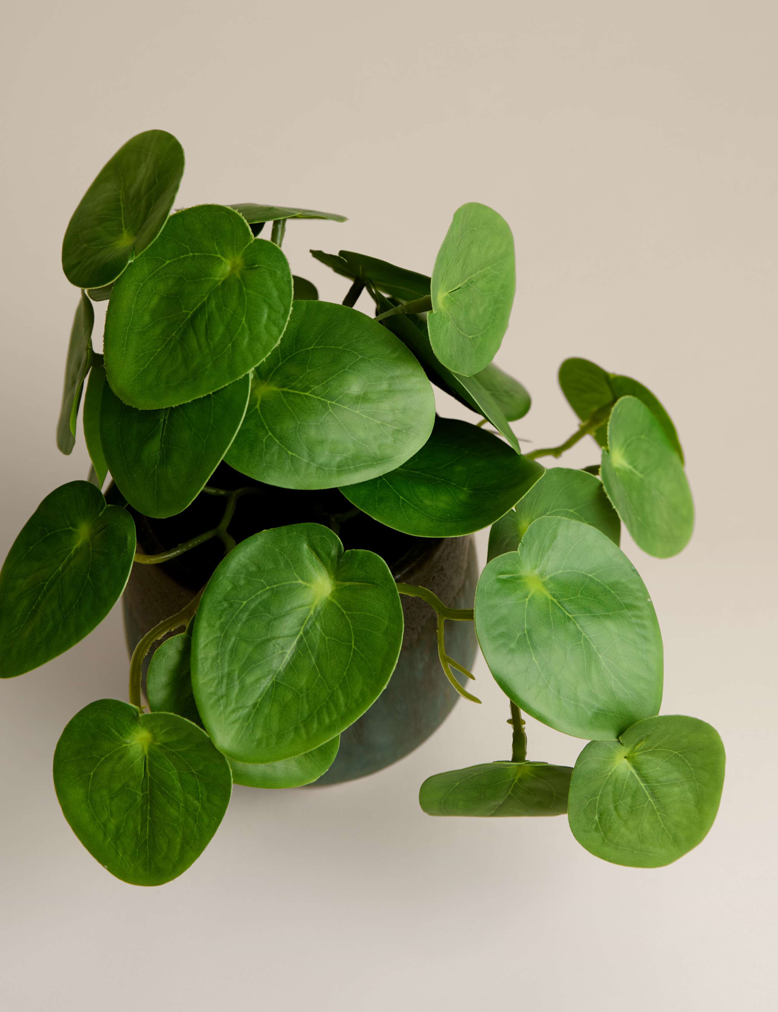 Artificial Money Plant in Ceramic Pot 2 of 3