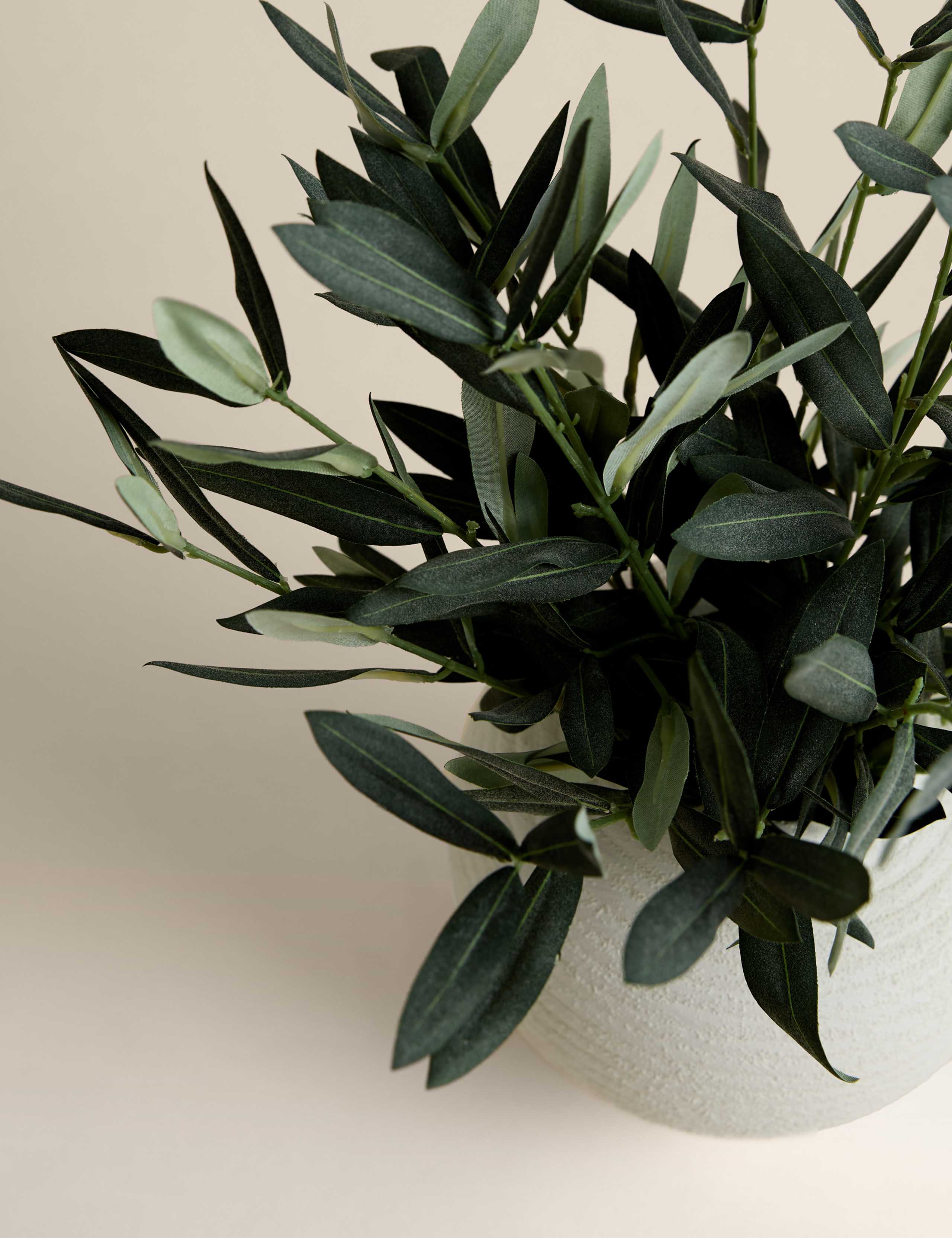 Artificial Olive Stem Arrangement in Ceramic Pot 3 of 3