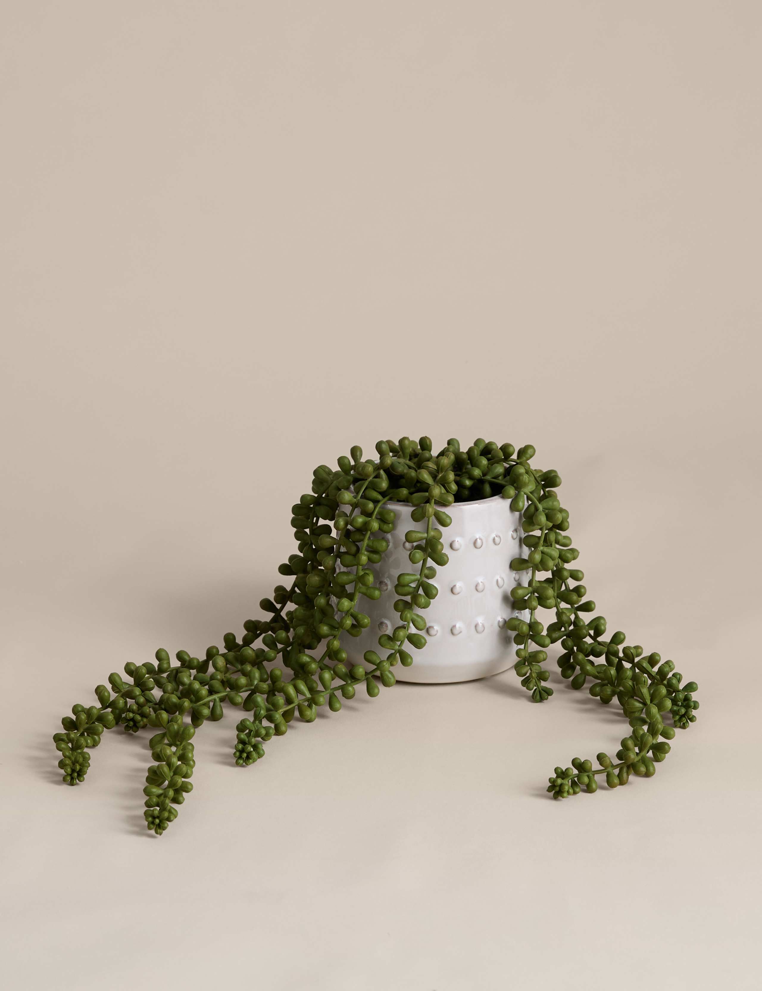 Artificial String of Pearls in Ceramic Plant Pot 1 of 3