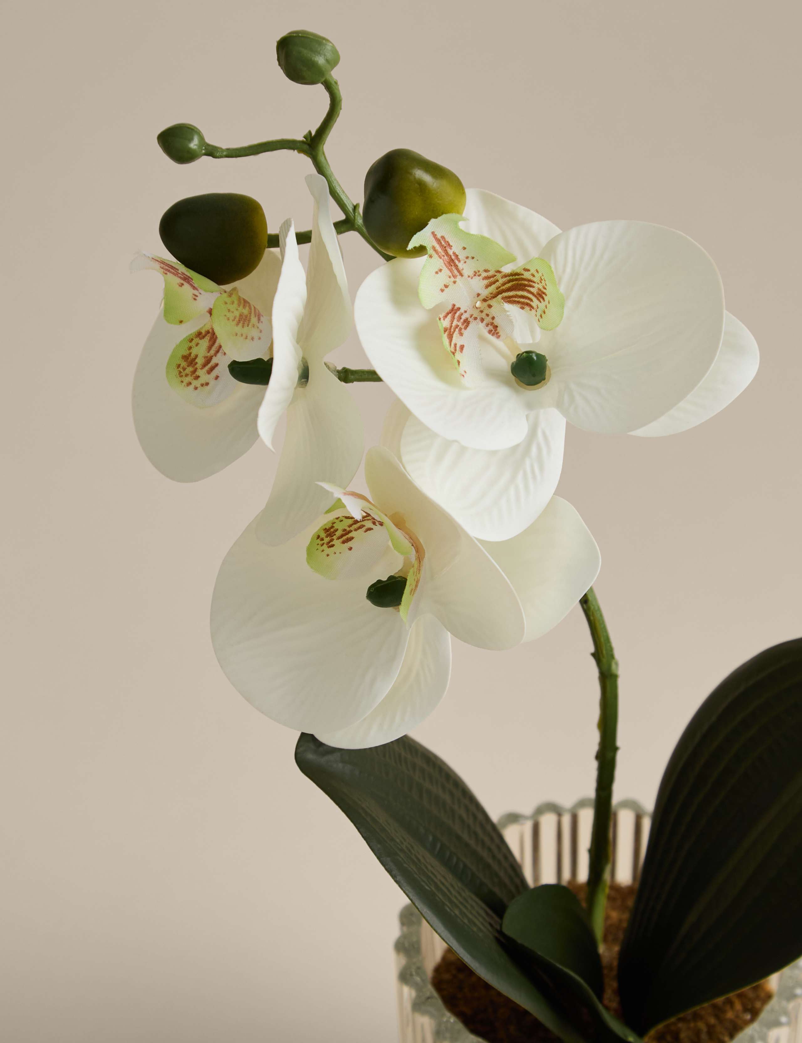 Artificial Small Orchid in Glass Pot 3 of 3