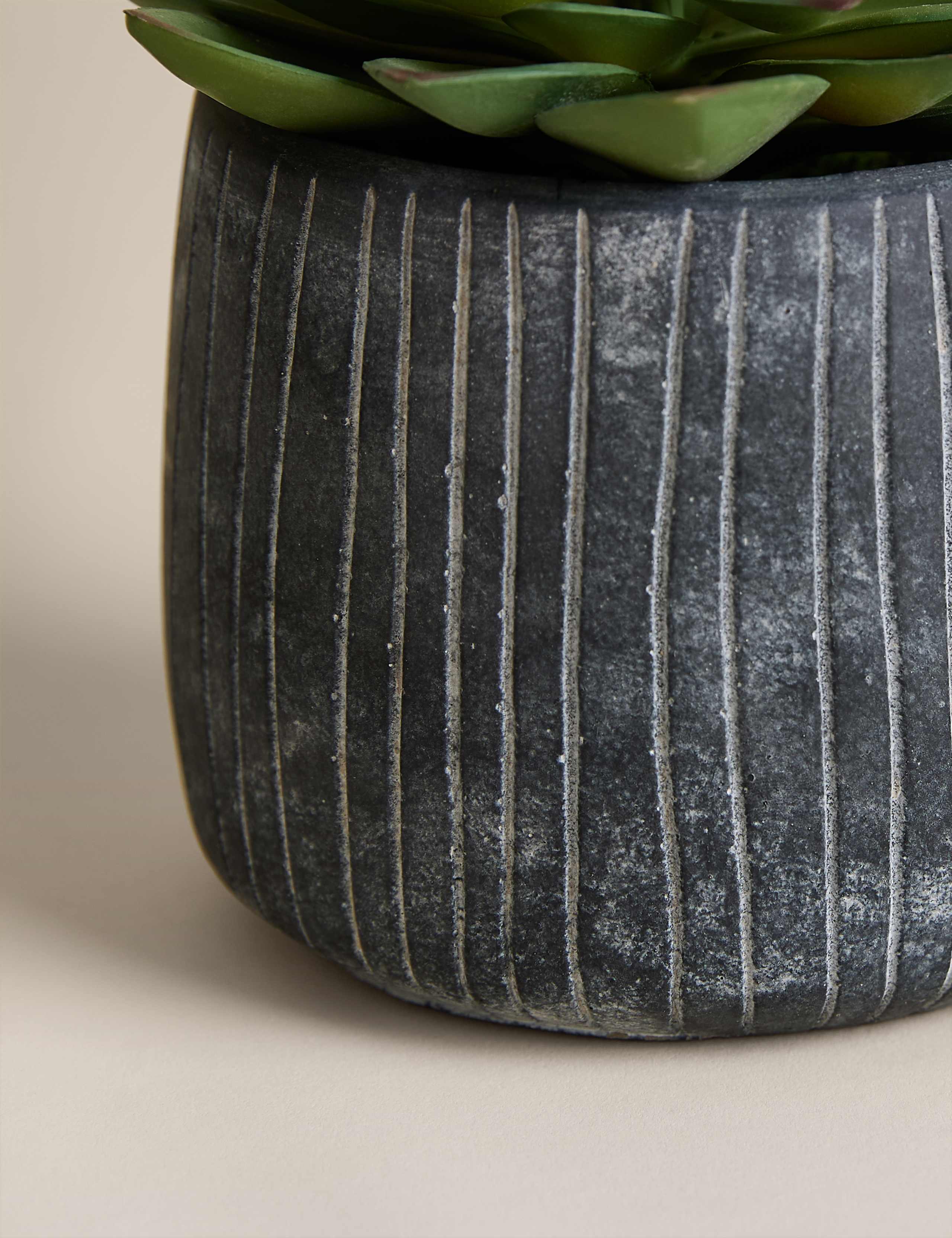Artificial Succulent in Ridged Cement Pot 2 of 3