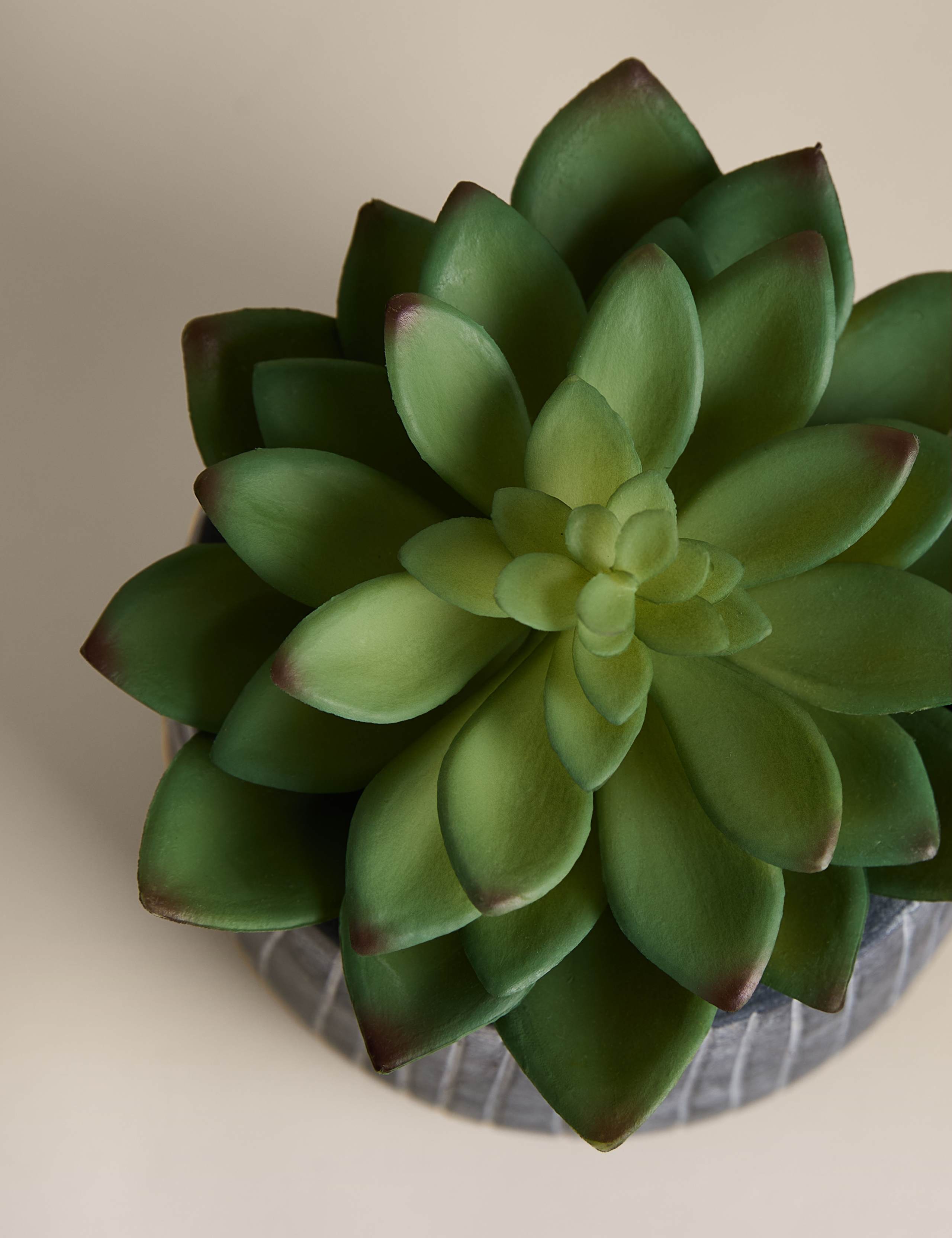 Artificial Succulent in Ridged Cement Pot 3 of 3