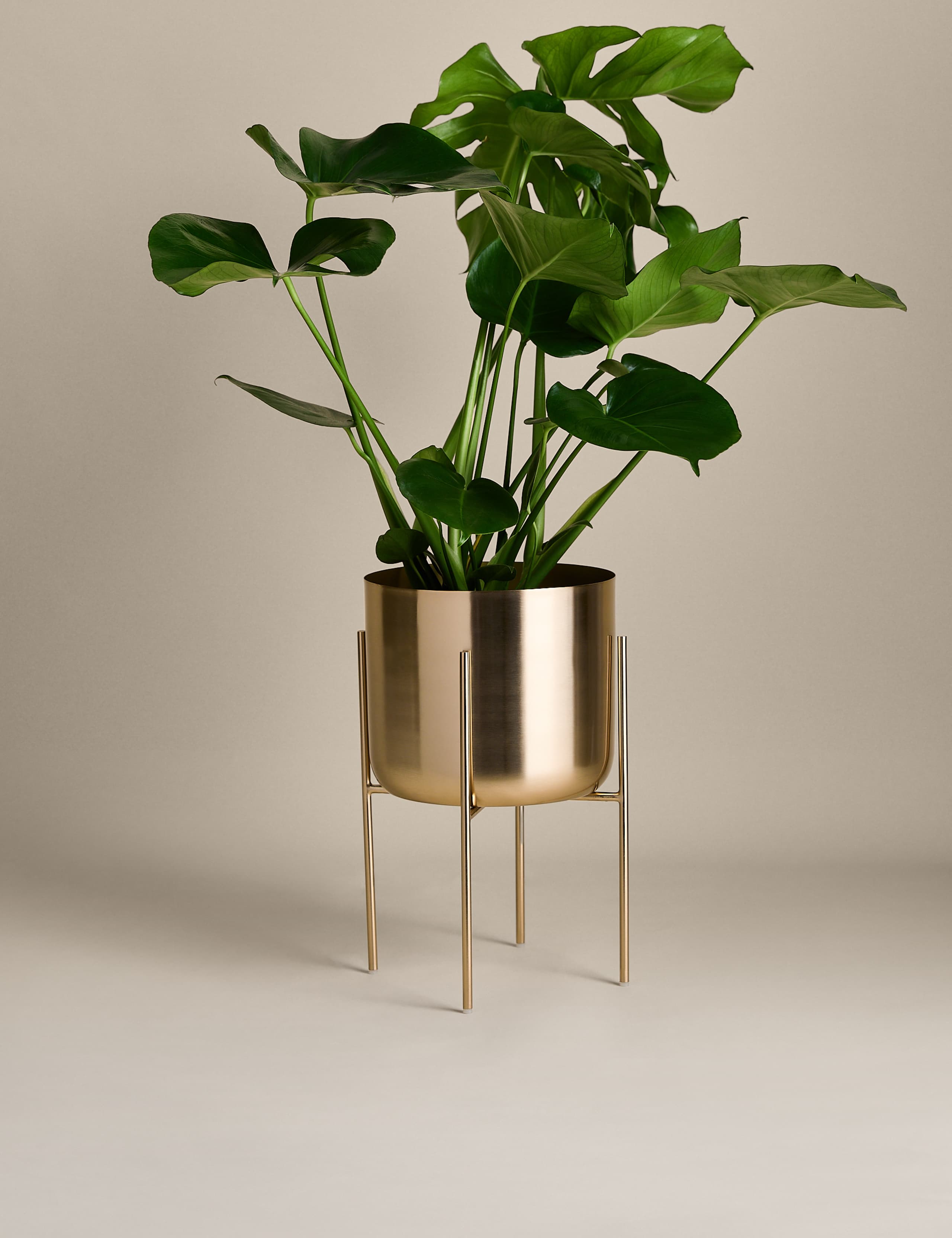 Large Metal Planter with Stand 2 of 5