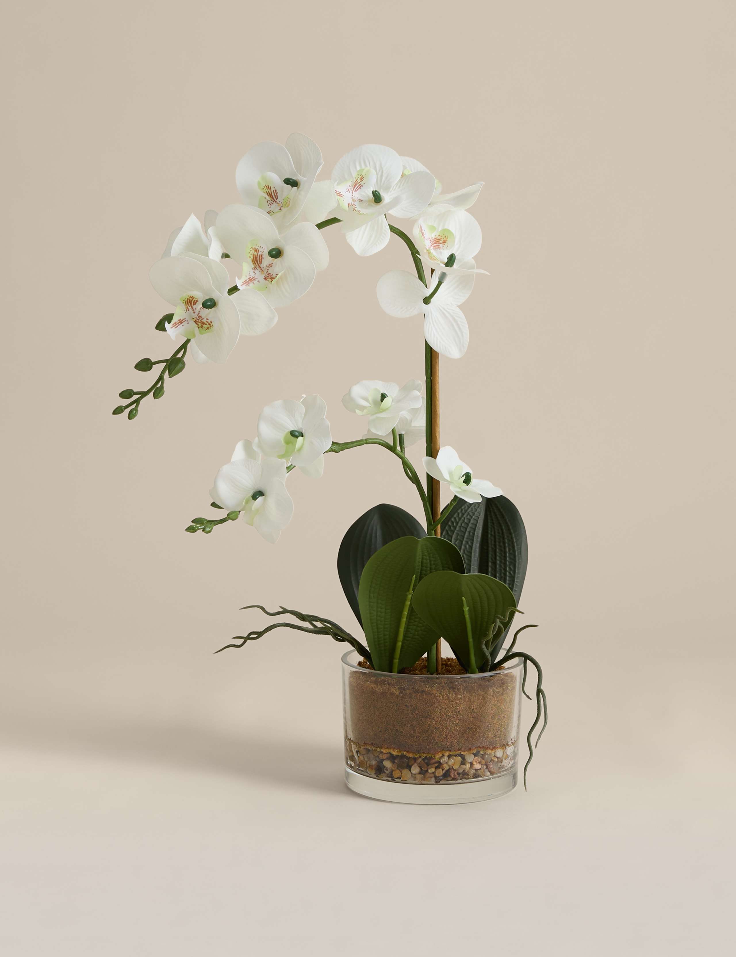 Artificial Medium Orchid in Glass Pot 1 of 3