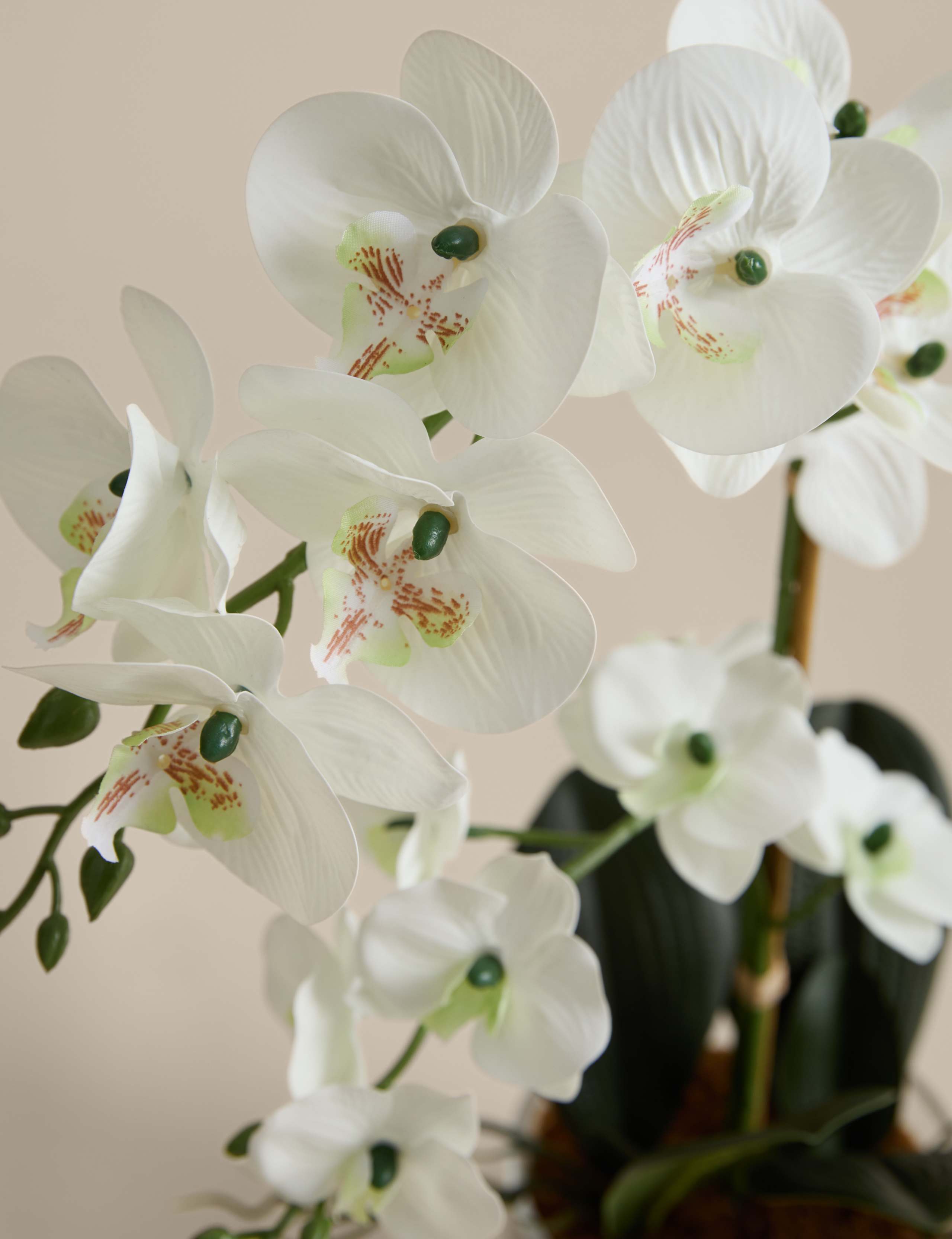Artificial Medium Orchid in Glass Pot 2 of 3