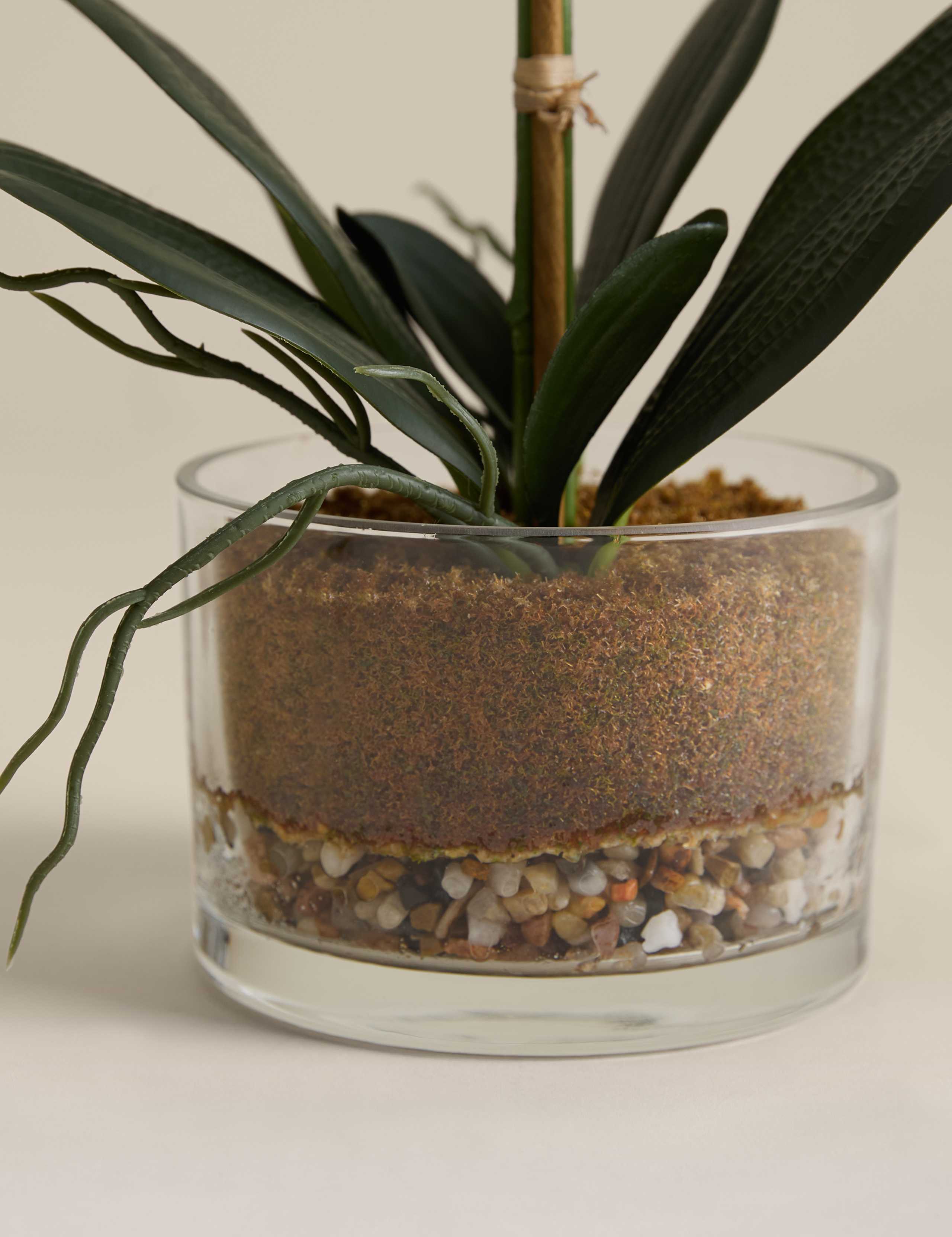 Artificial Medium Orchid in Glass Pot 3 of 3