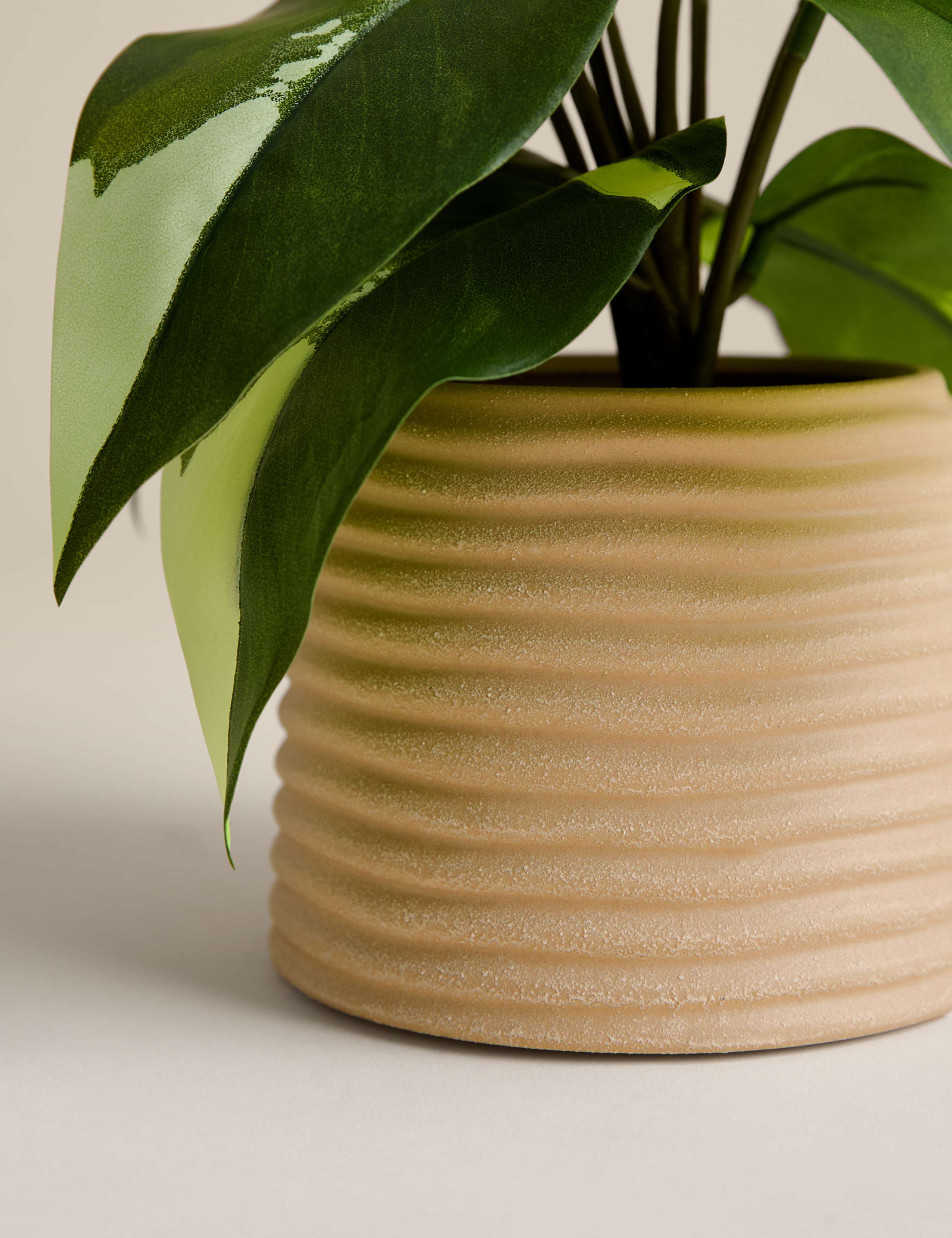 Artificial Heartleaf Philodendron in Ceramic Pot 3 of 3