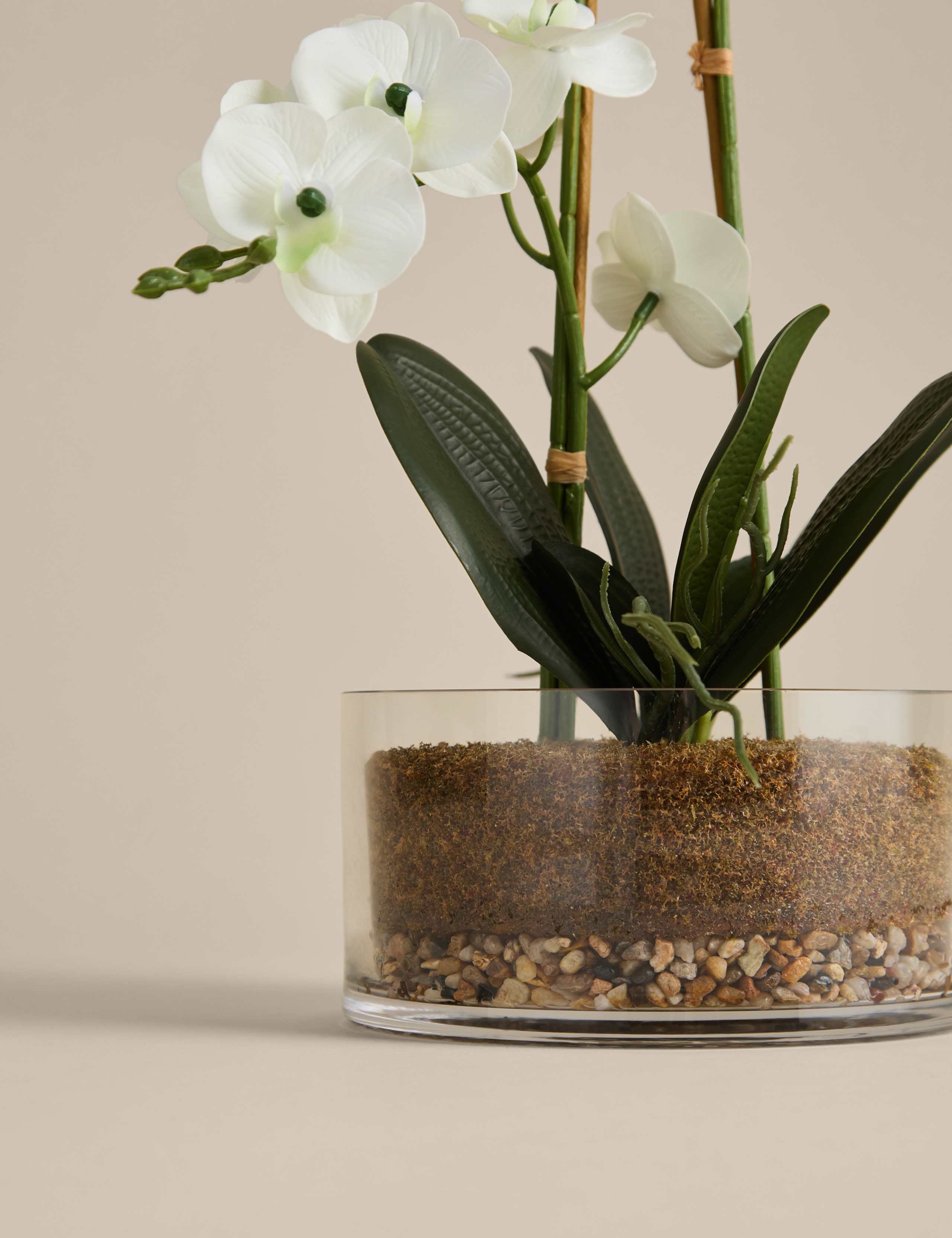 Artificial Large Orchid in Glass Pot 2 of 3