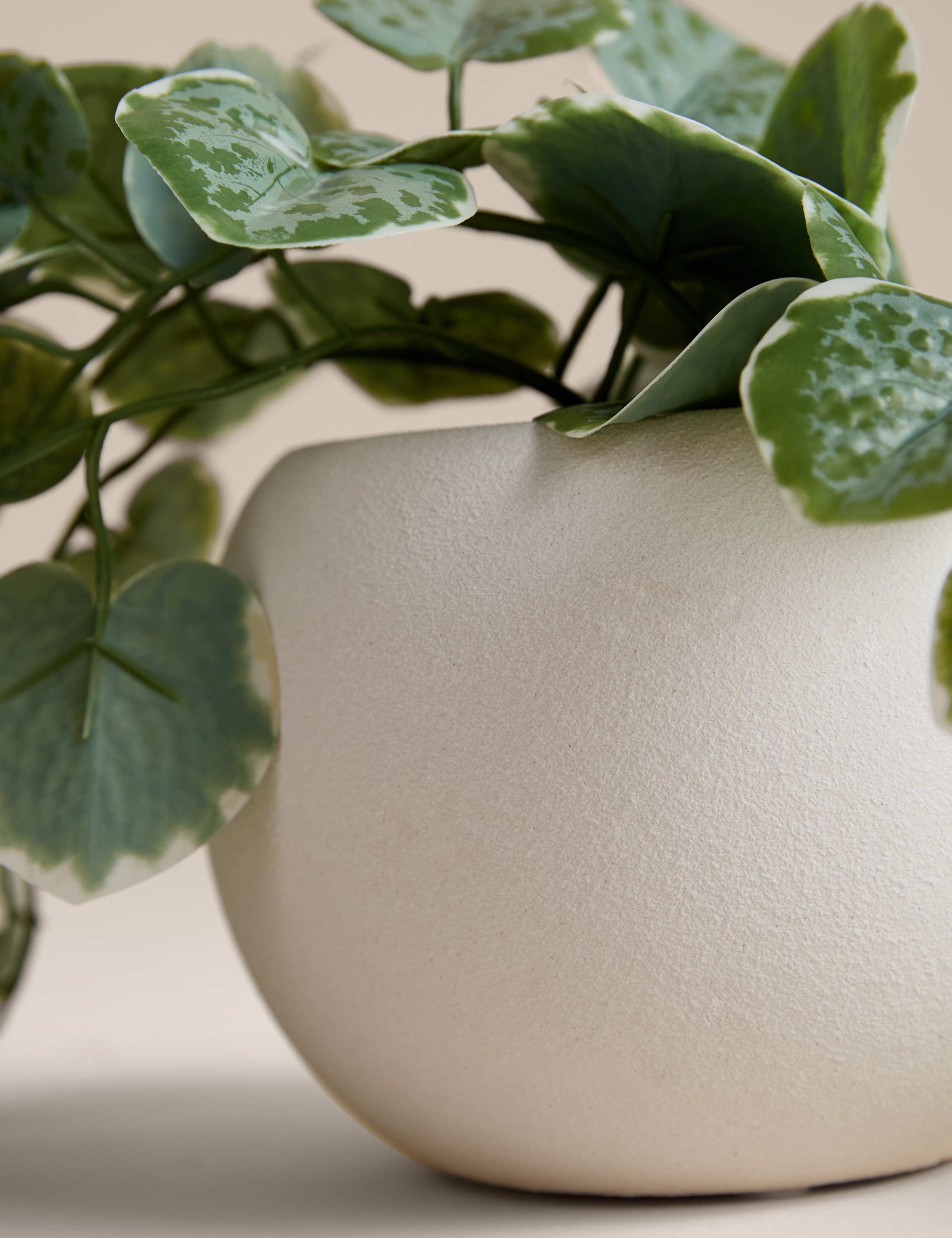 Artificial Trailing Eucalyptus in Pot 3 of 3