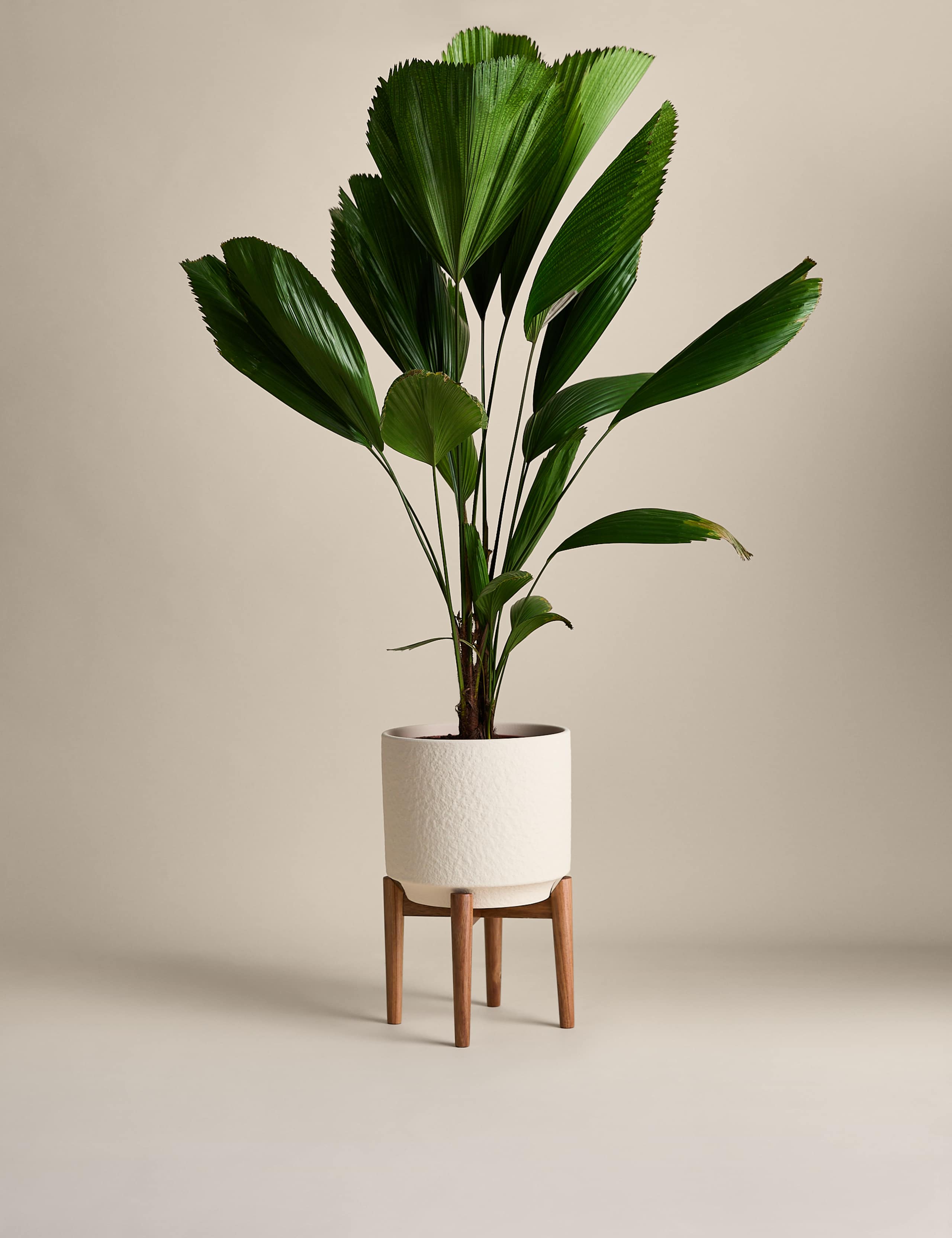 Large Reactive Glaze Ceramic Planter 2 of 4