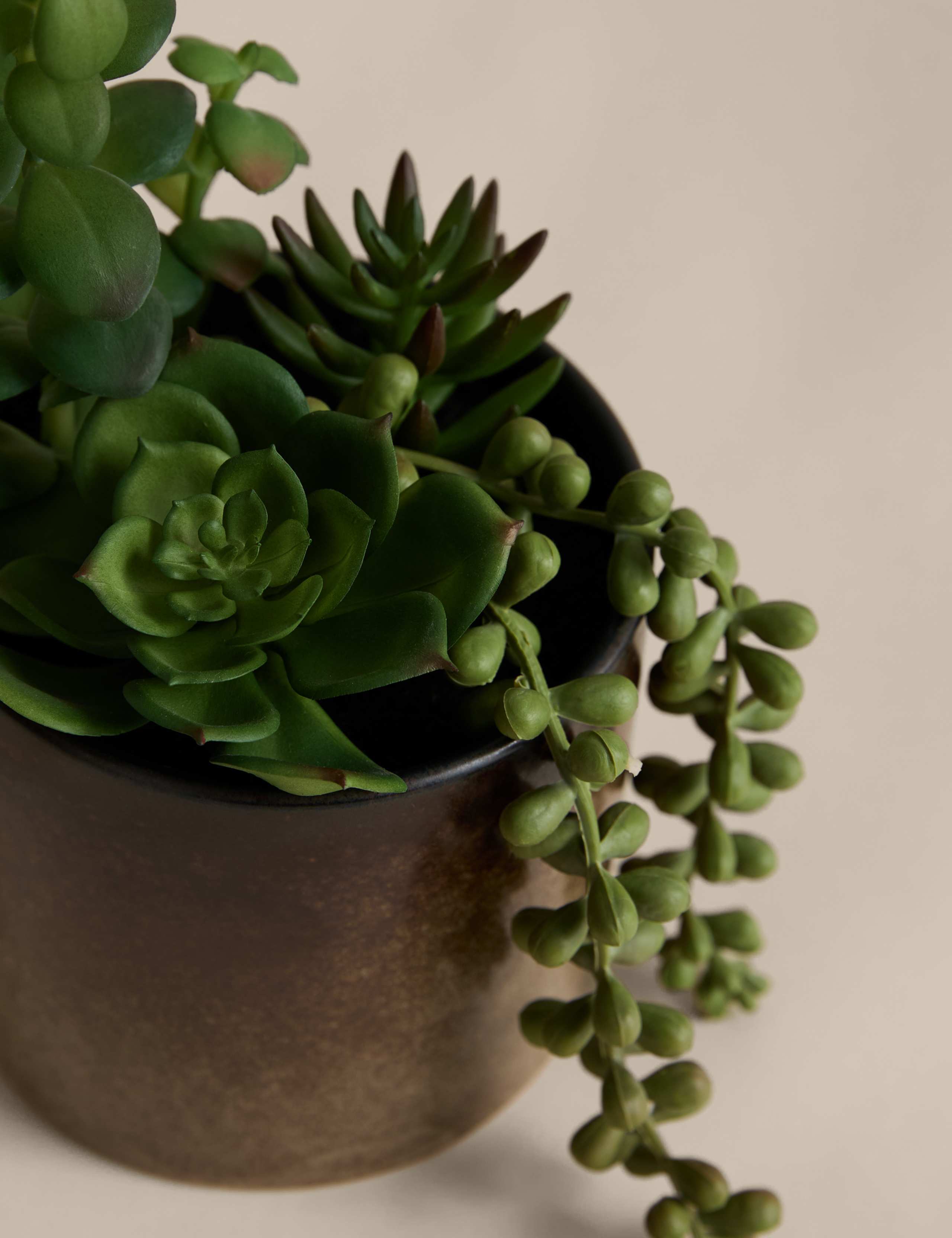 Artificial Succulent Family in Reactive Glaze Pot 2 of 3