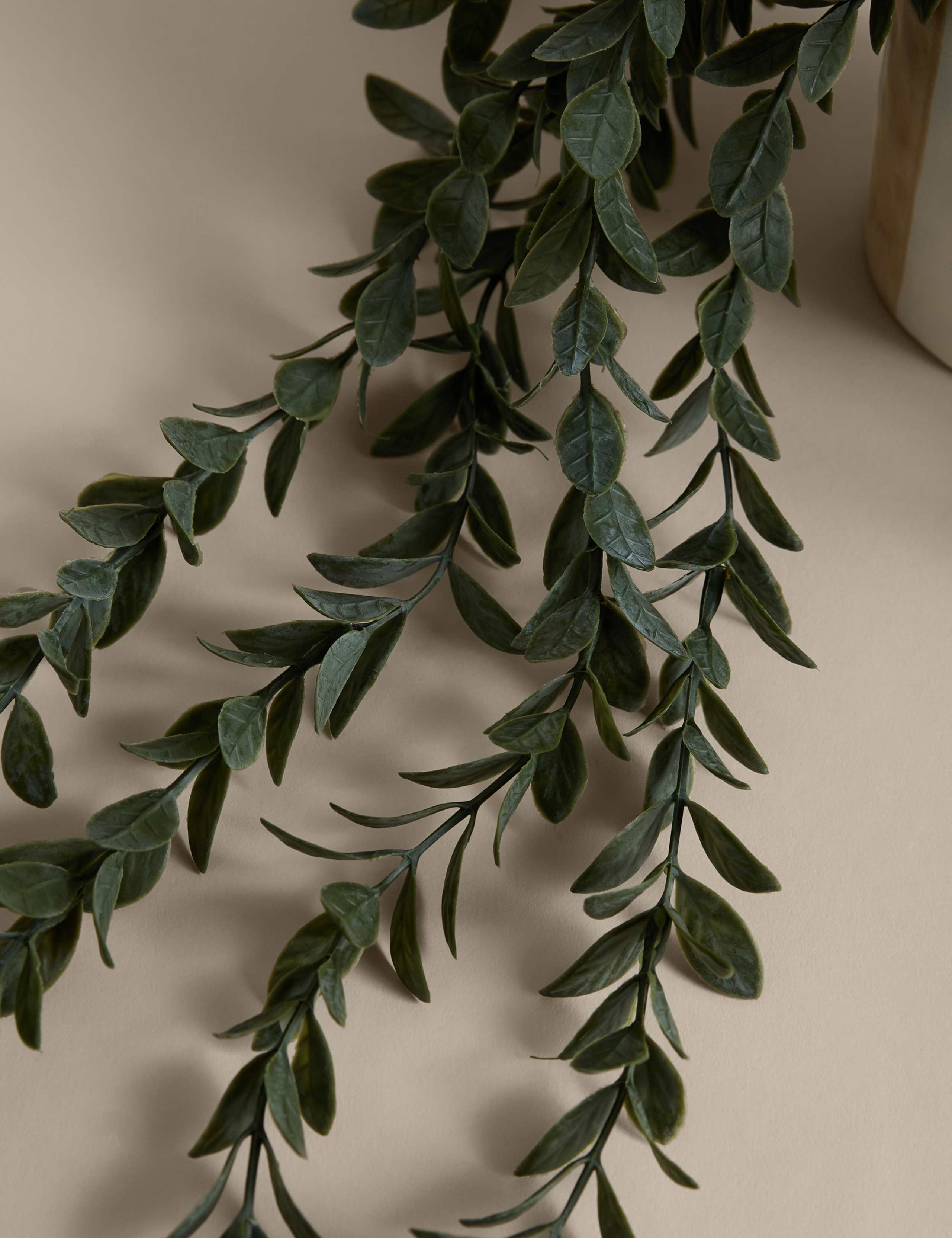 Artificial Trailing Boxwood in Stripe Ceramic Pot 2 of 3
